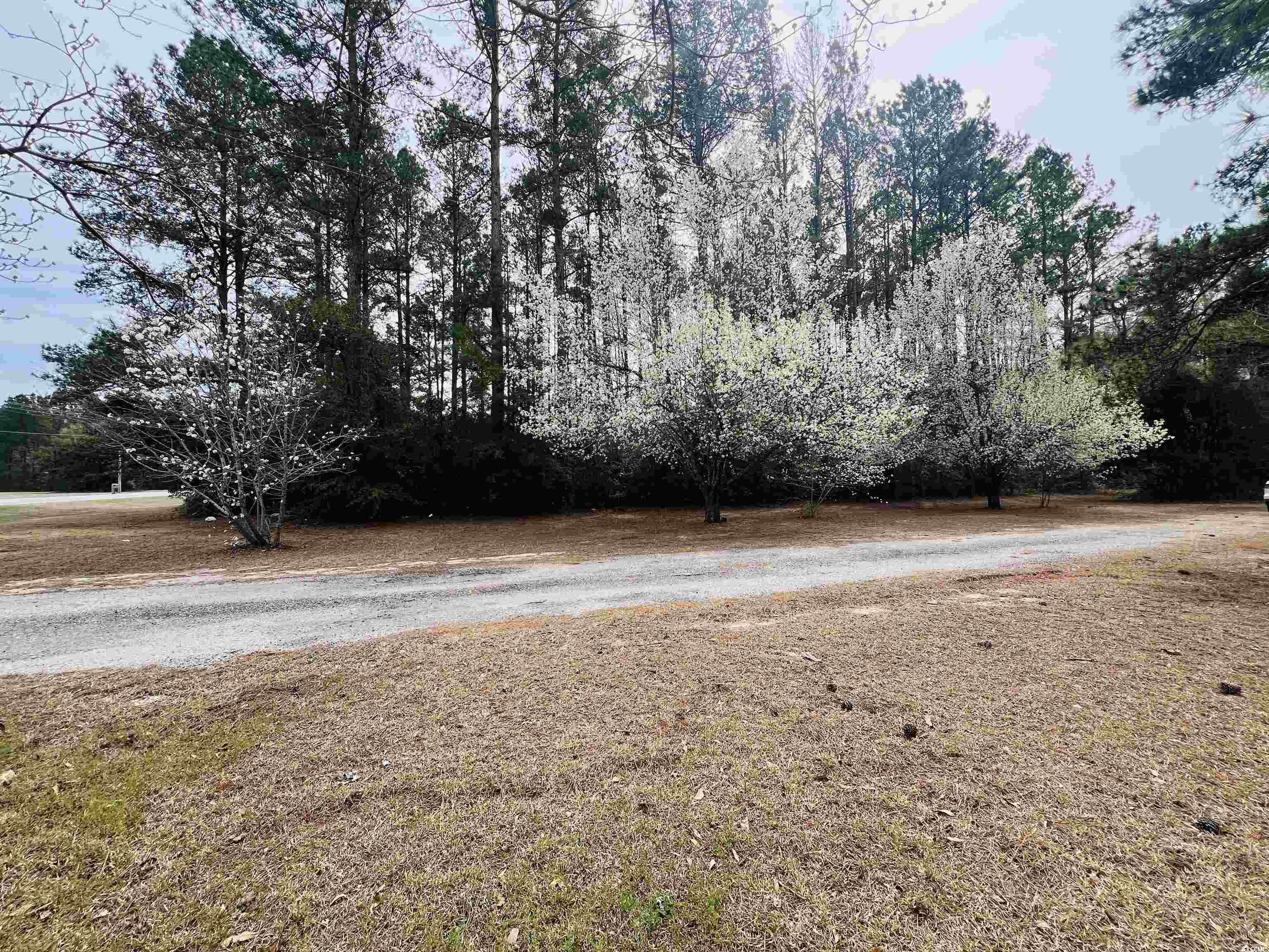 873 Sumter Hwy., Kingstree, South Carolina image 33