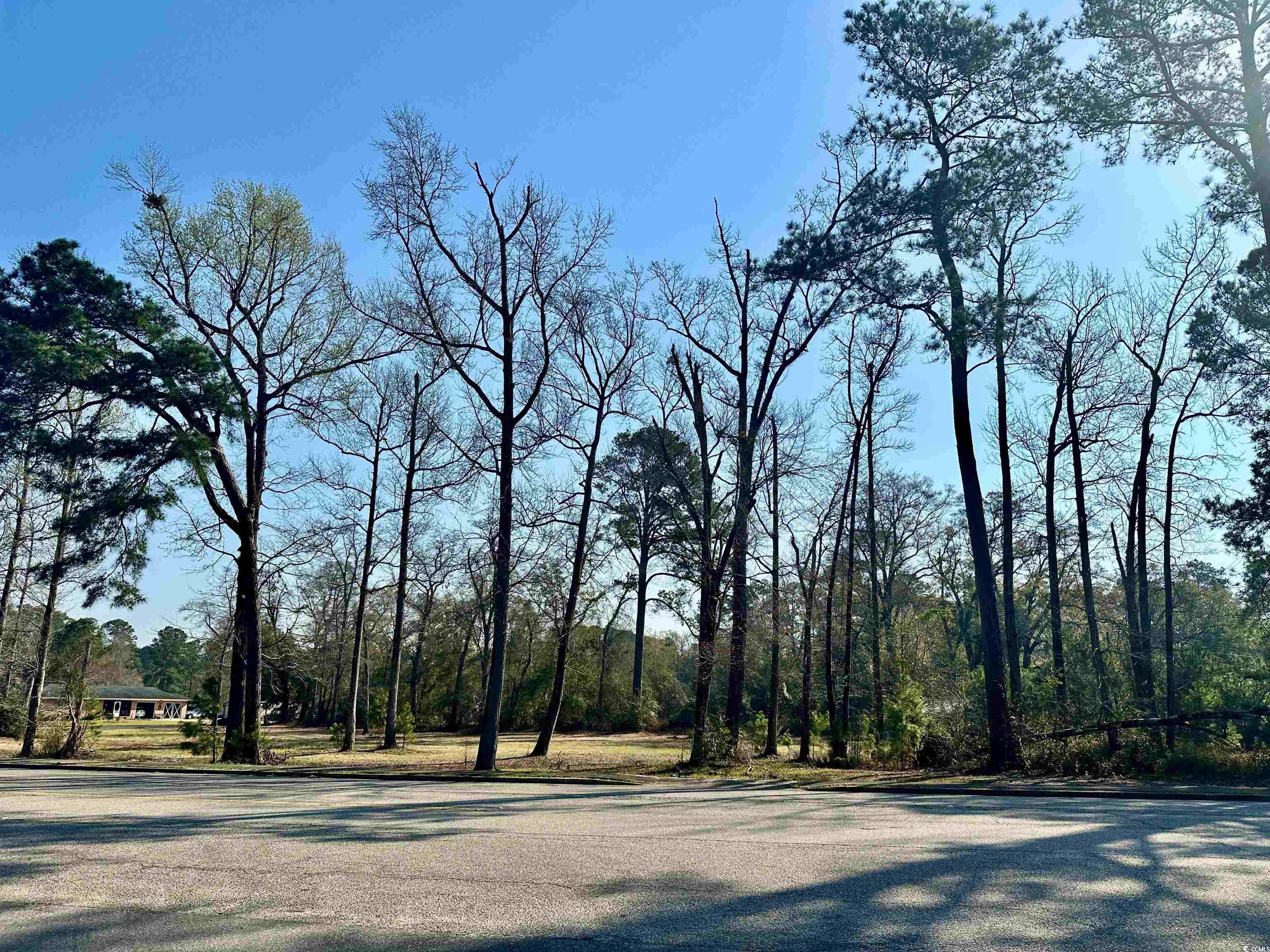 TBD N Main St., Nichols, South Carolina image 6