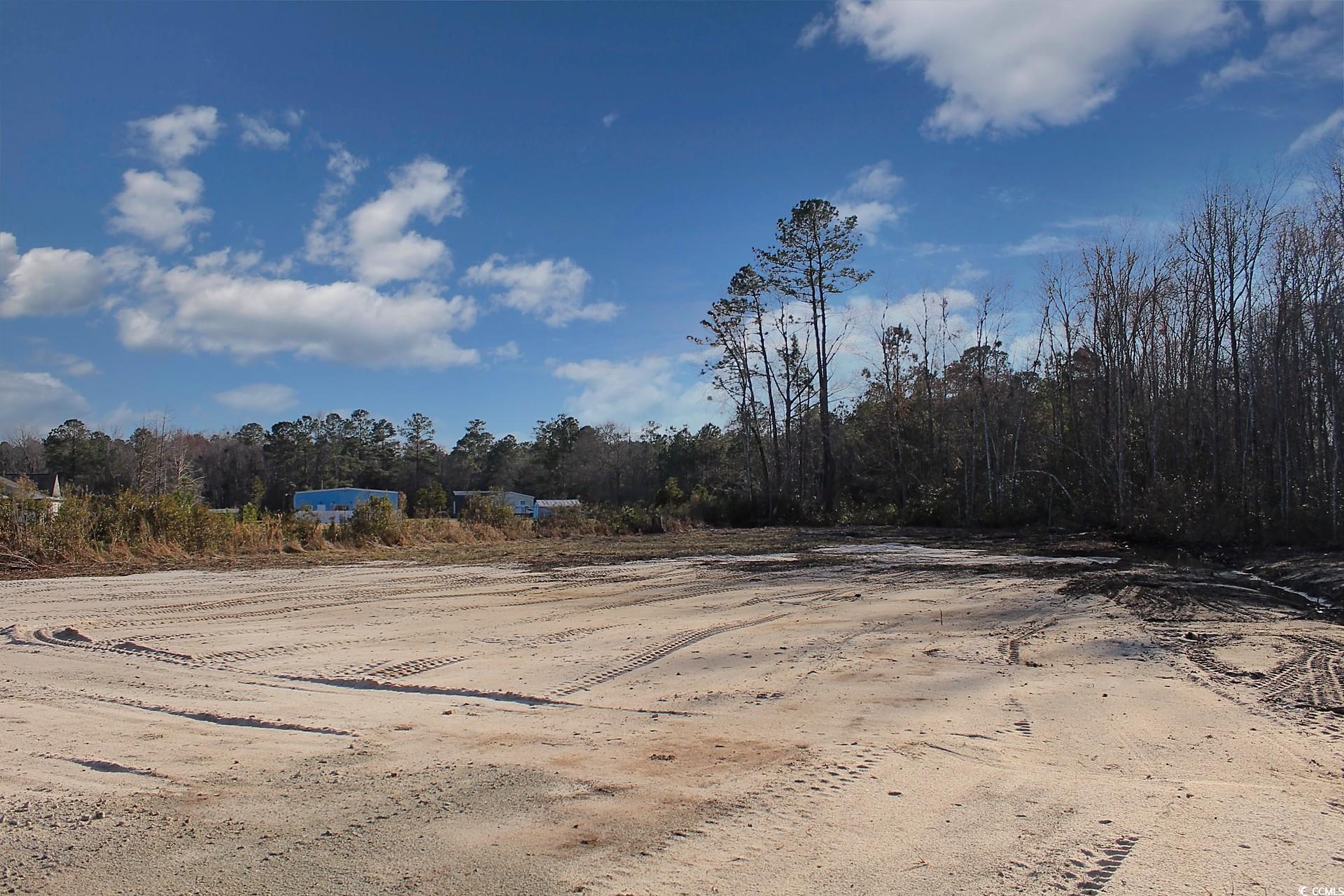 2950 Hugo Rd., Conway, South Carolina image 3