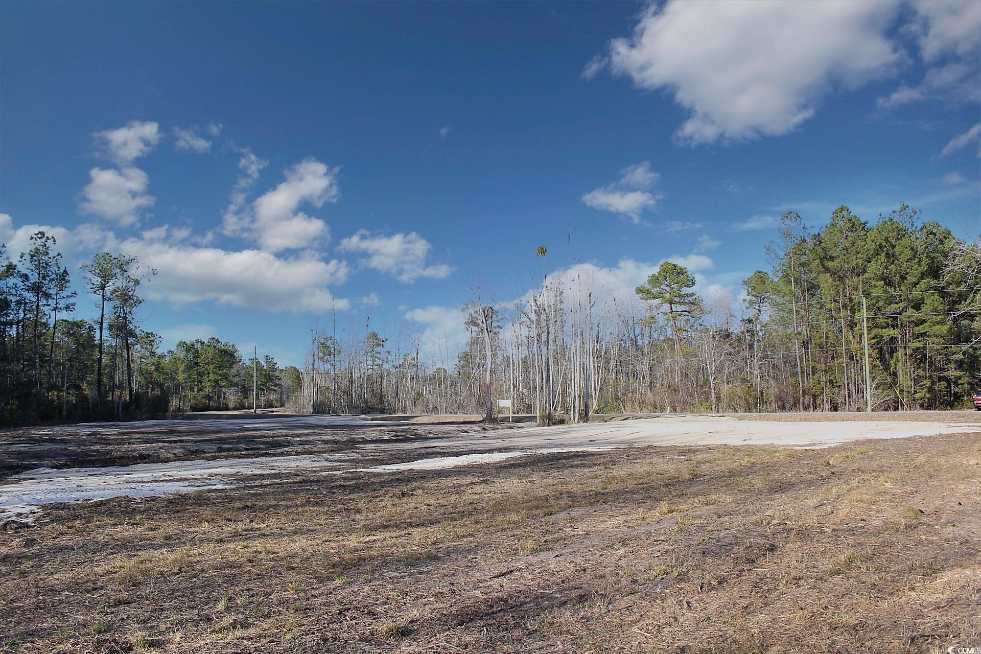 2950 Hugo Rd., Conway, South Carolina image 6