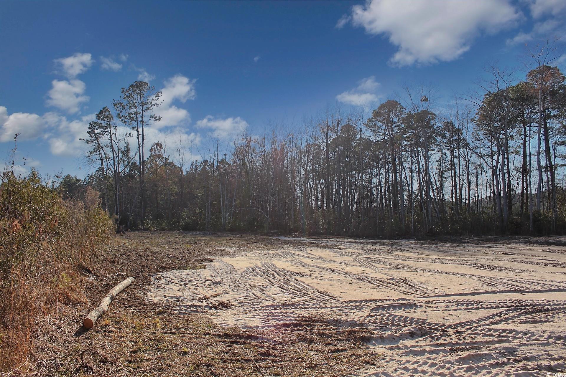 2950 Hugo Rd., Conway, South Carolina image 8