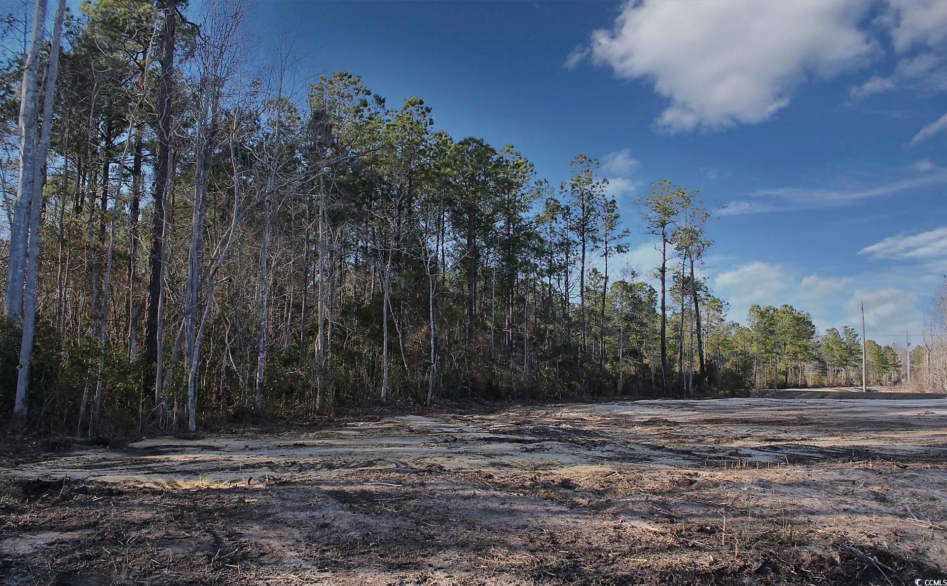 TBD Hugo Rd., Conway, South Carolina image 12