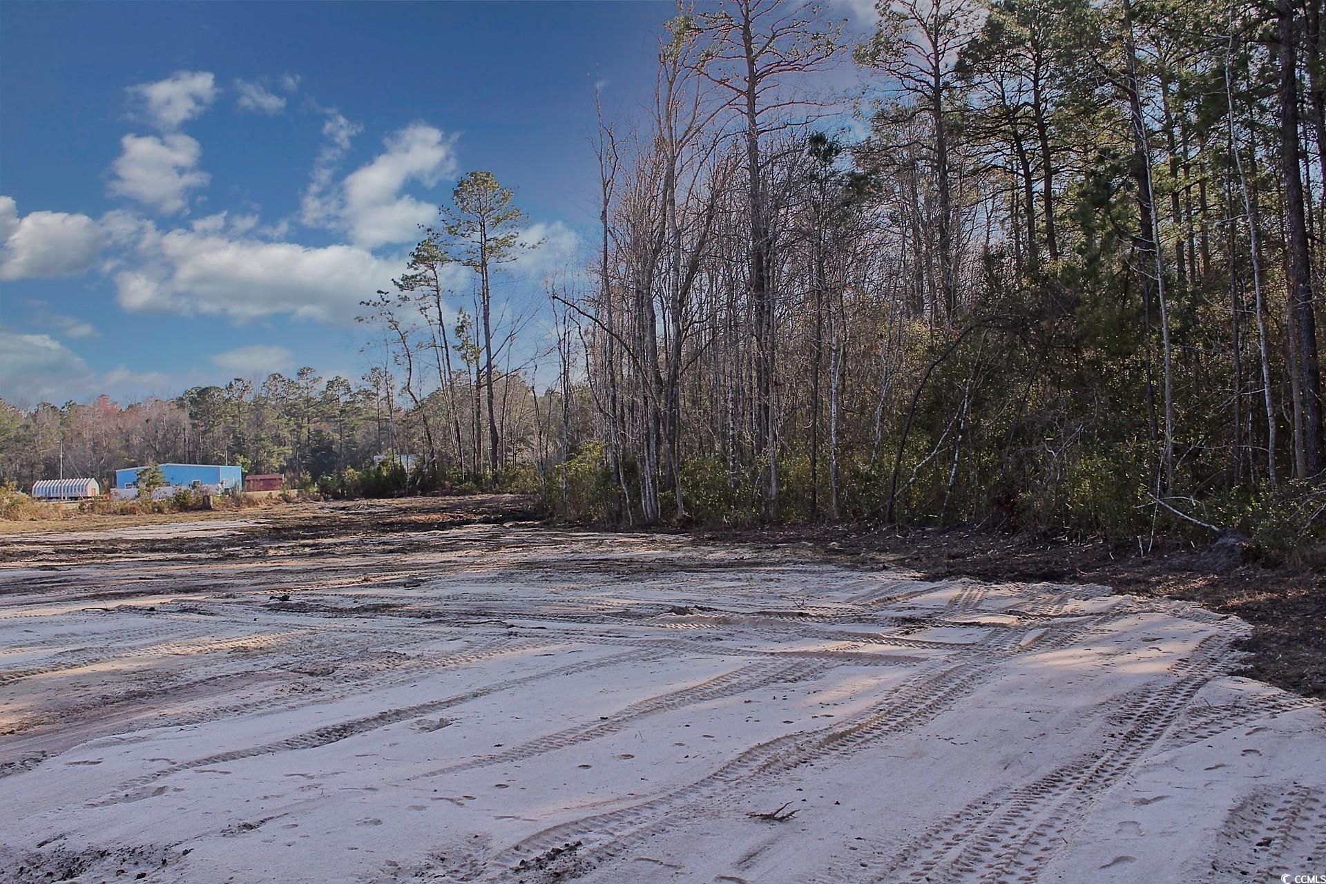 TBD Hugo Rd., Conway, South Carolina image 3