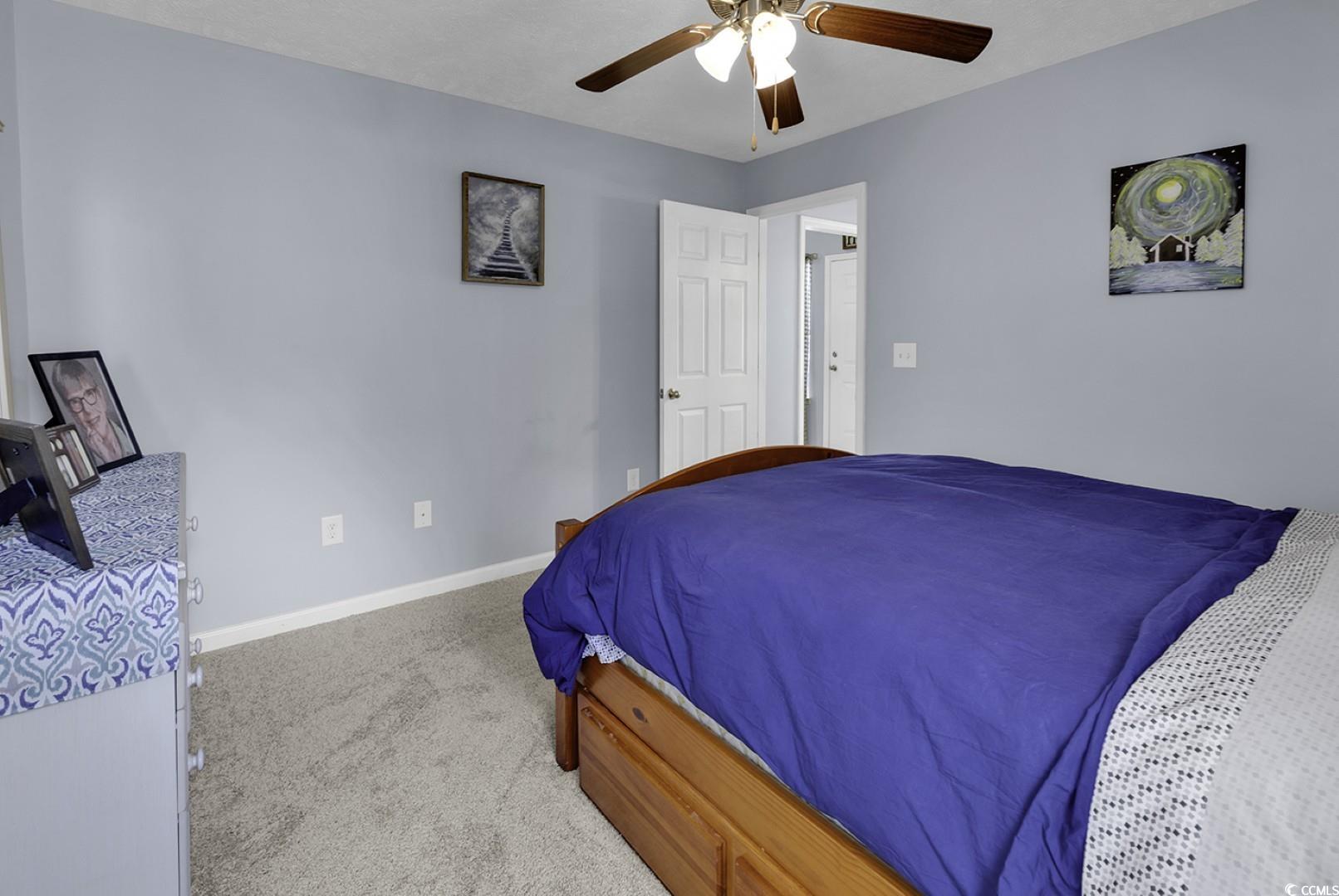 248 Upper Saddle Circle, Conway, South Carolina image 18