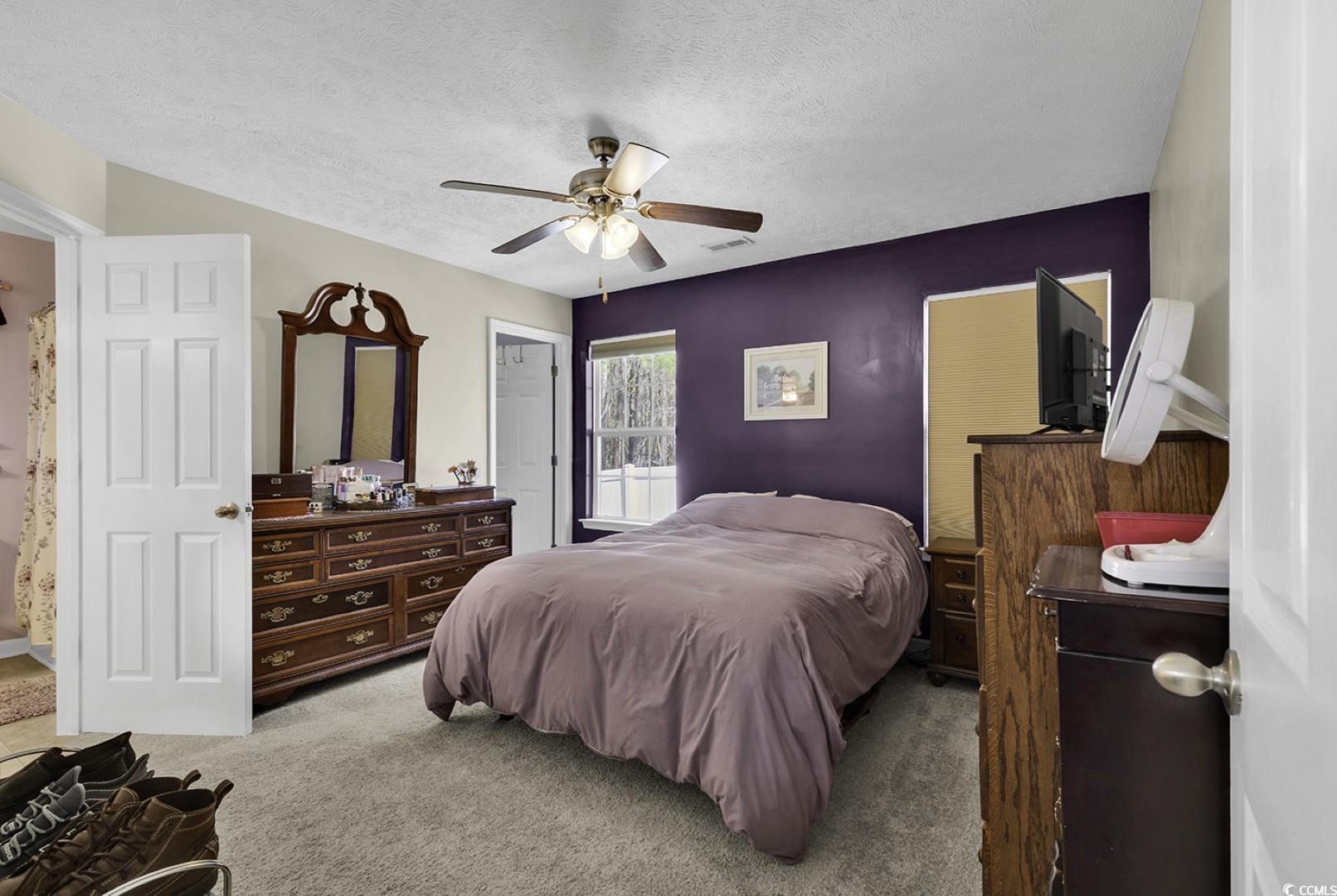 248 Upper Saddle Circle, Conway, South Carolina image 20
