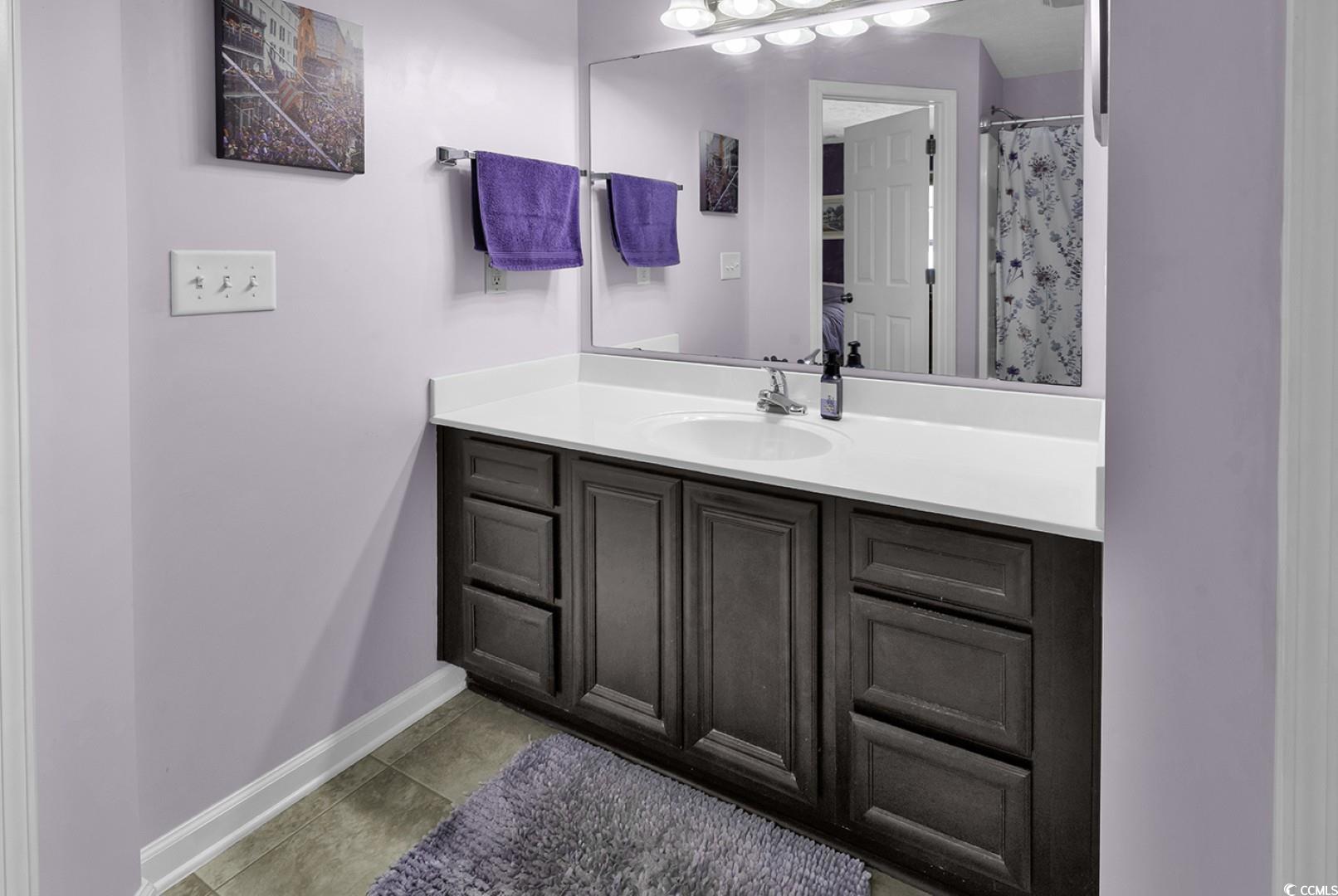 248 Upper Saddle Circle, Conway, South Carolina image 23