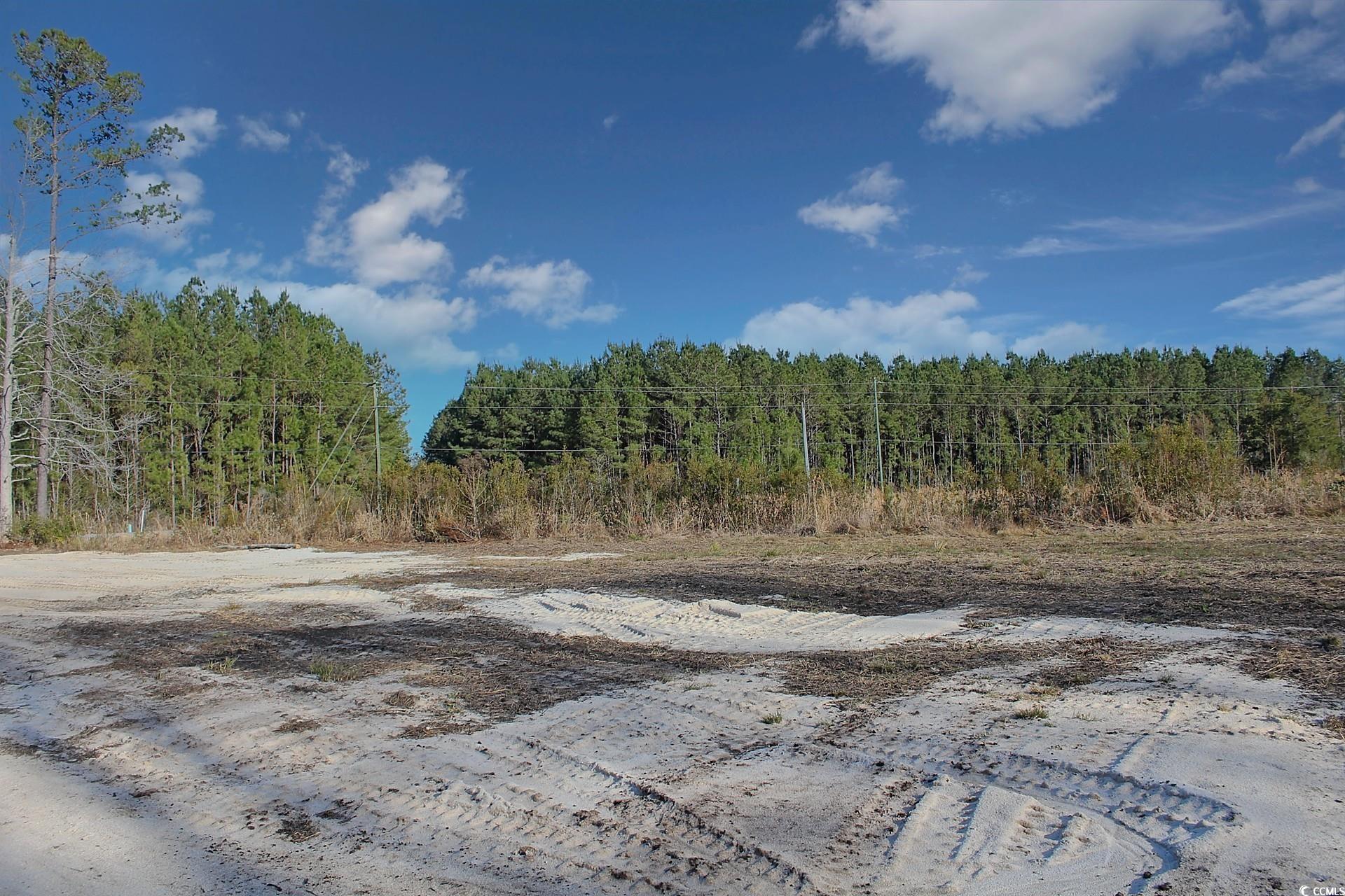 TBD Hugo Rd., Conway, South Carolina image 26
