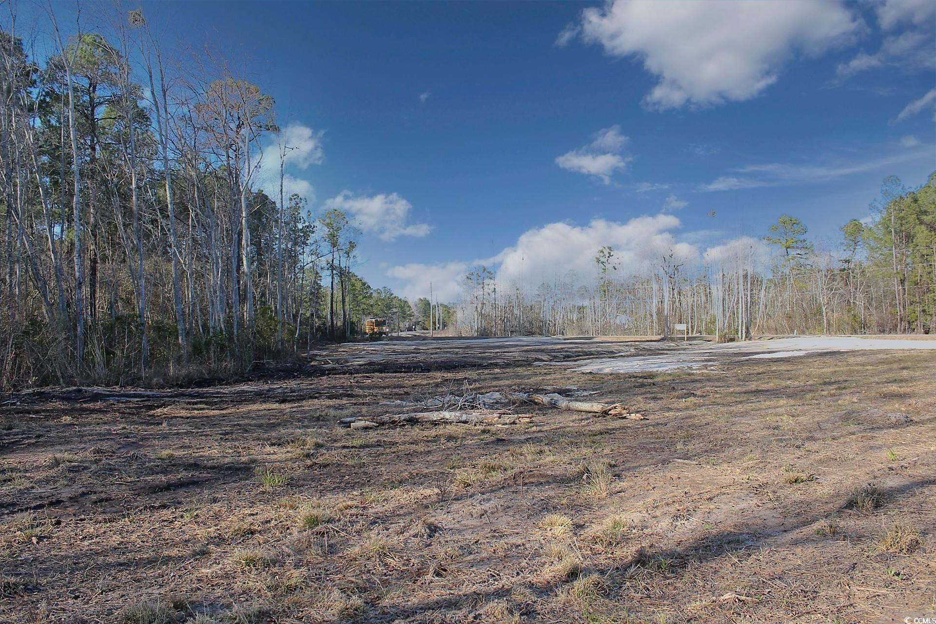 TBD Hugo Rd., Conway, South Carolina image 30