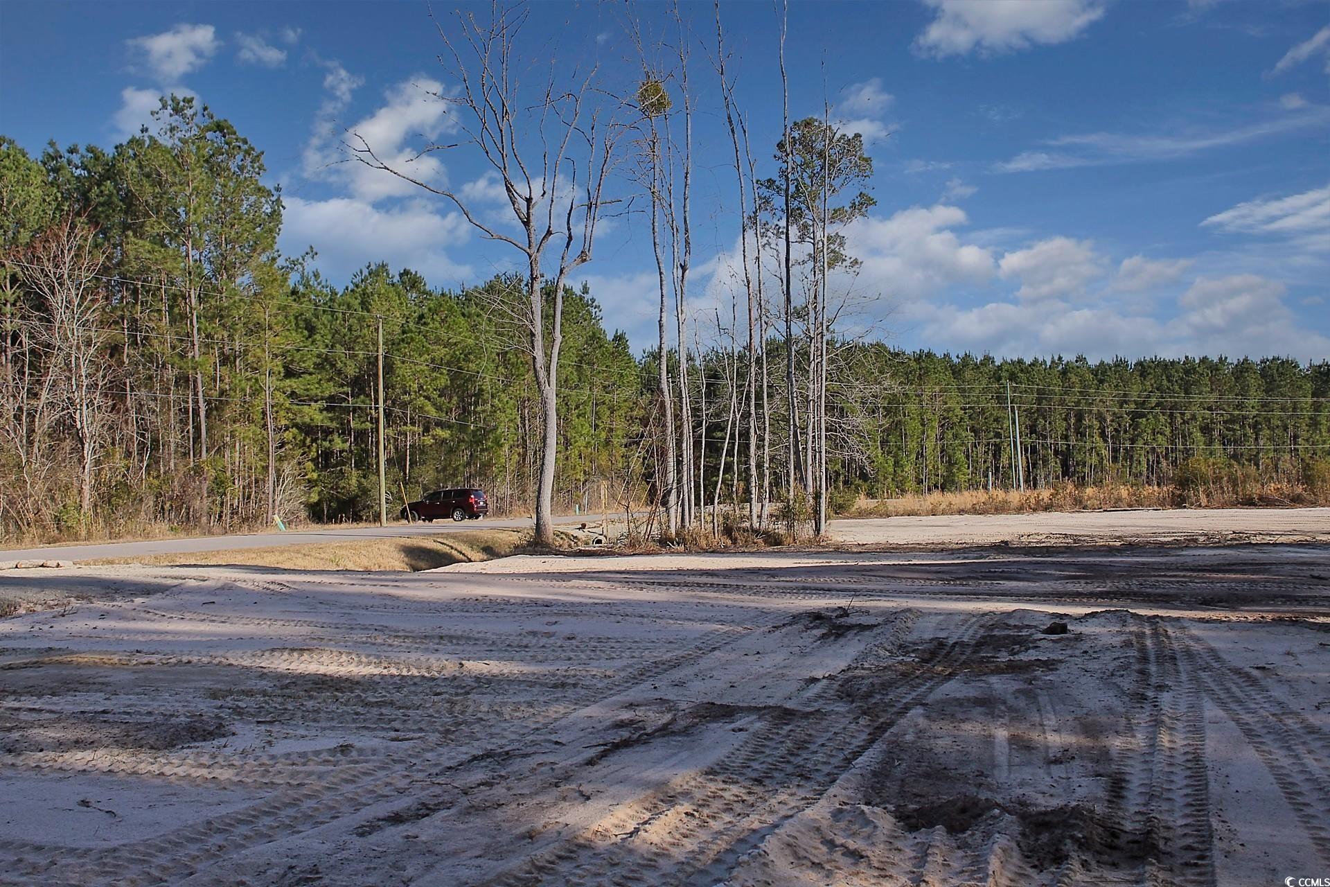 TBD Hugo Rd., Conway, South Carolina image 8