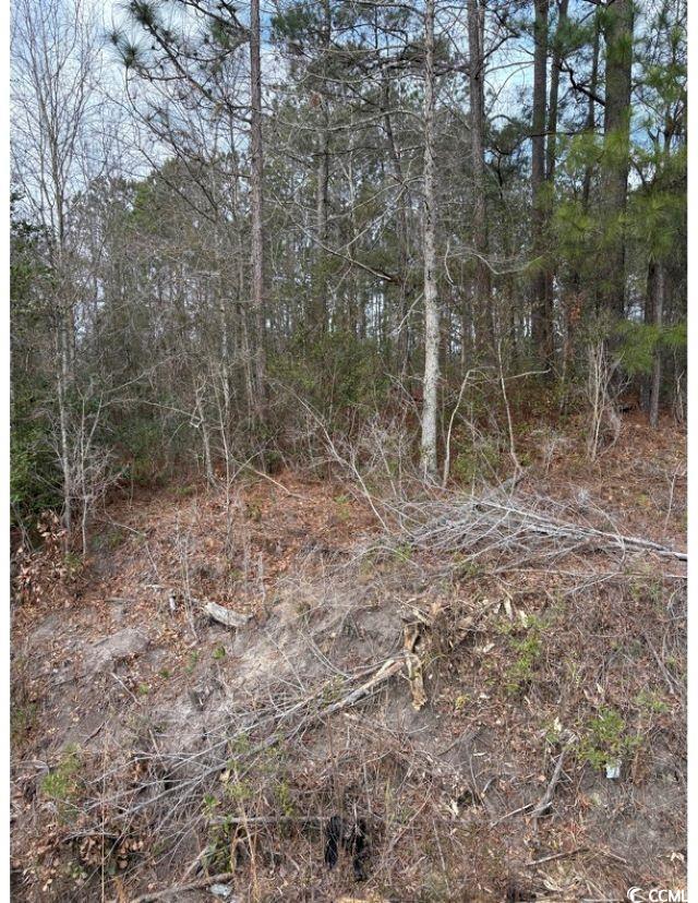 TBA 476 Dothan Rd., Tabor City, North Carolina image 11