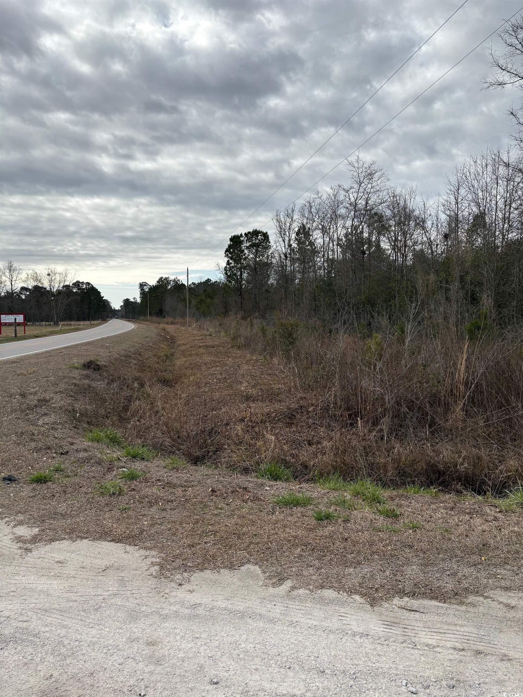 TBA 476 Dothan Rd., Tabor City, North Carolina image 6