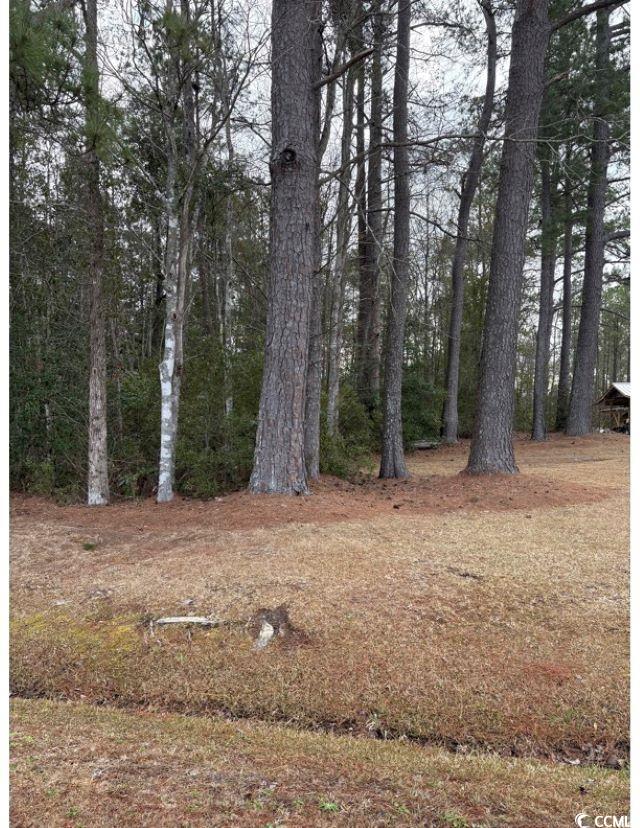 TBA 476 Dothan Rd., Tabor City, North Carolina image 8