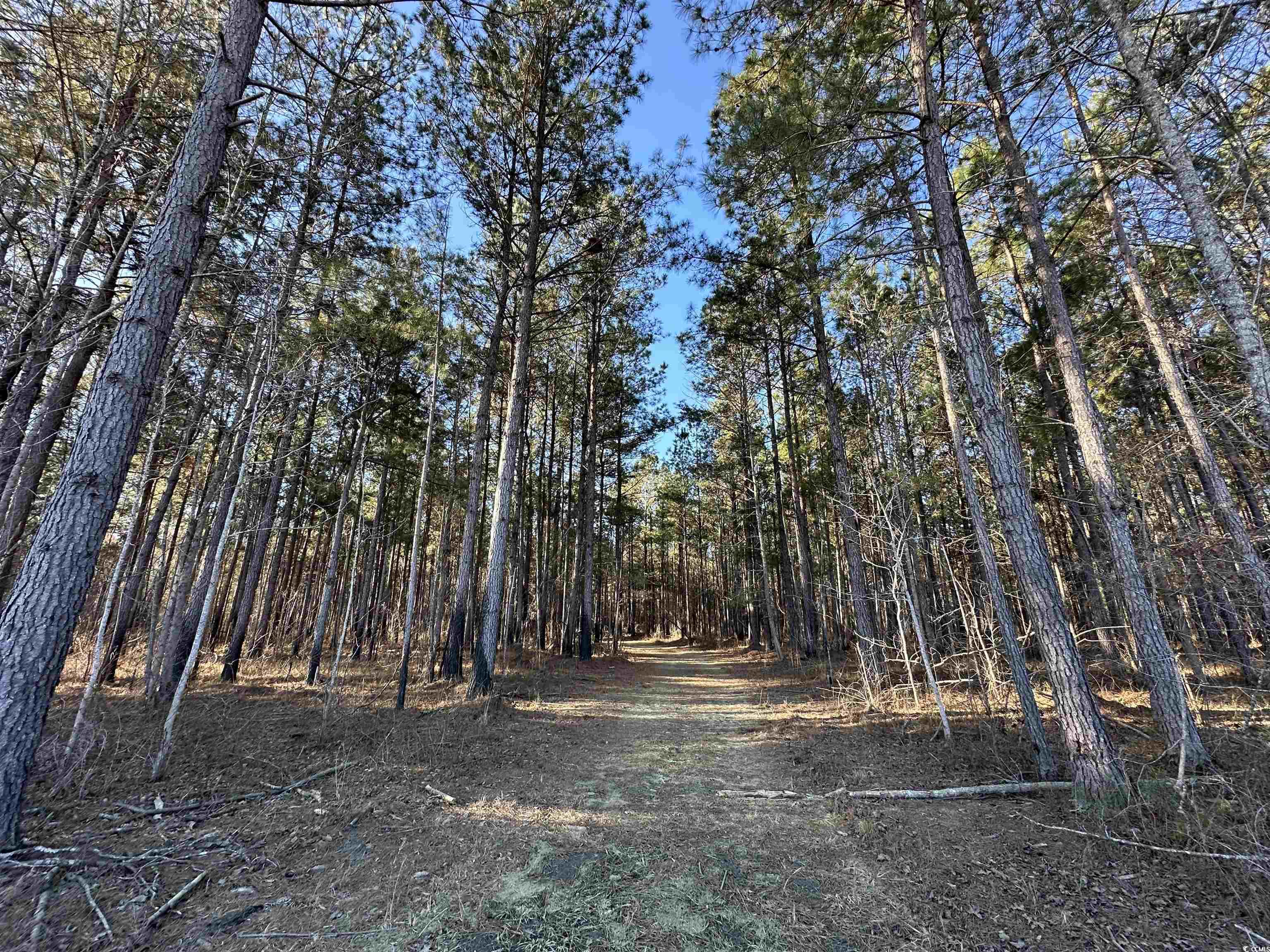 TBD Rocky Ford Rd. Salters, SC 29590