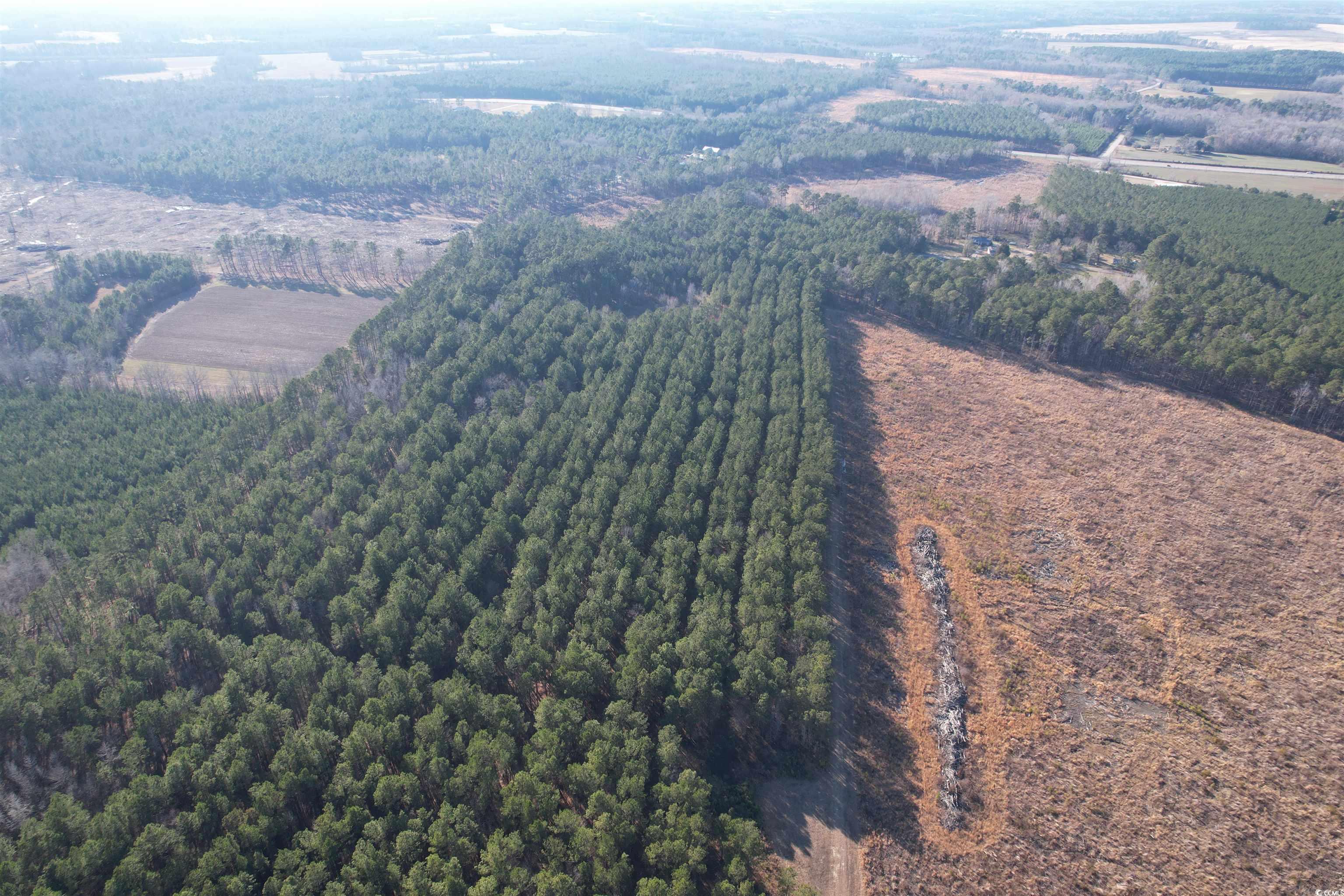 TBD Rocky Ford Rd., Salters, South Carolina image 11