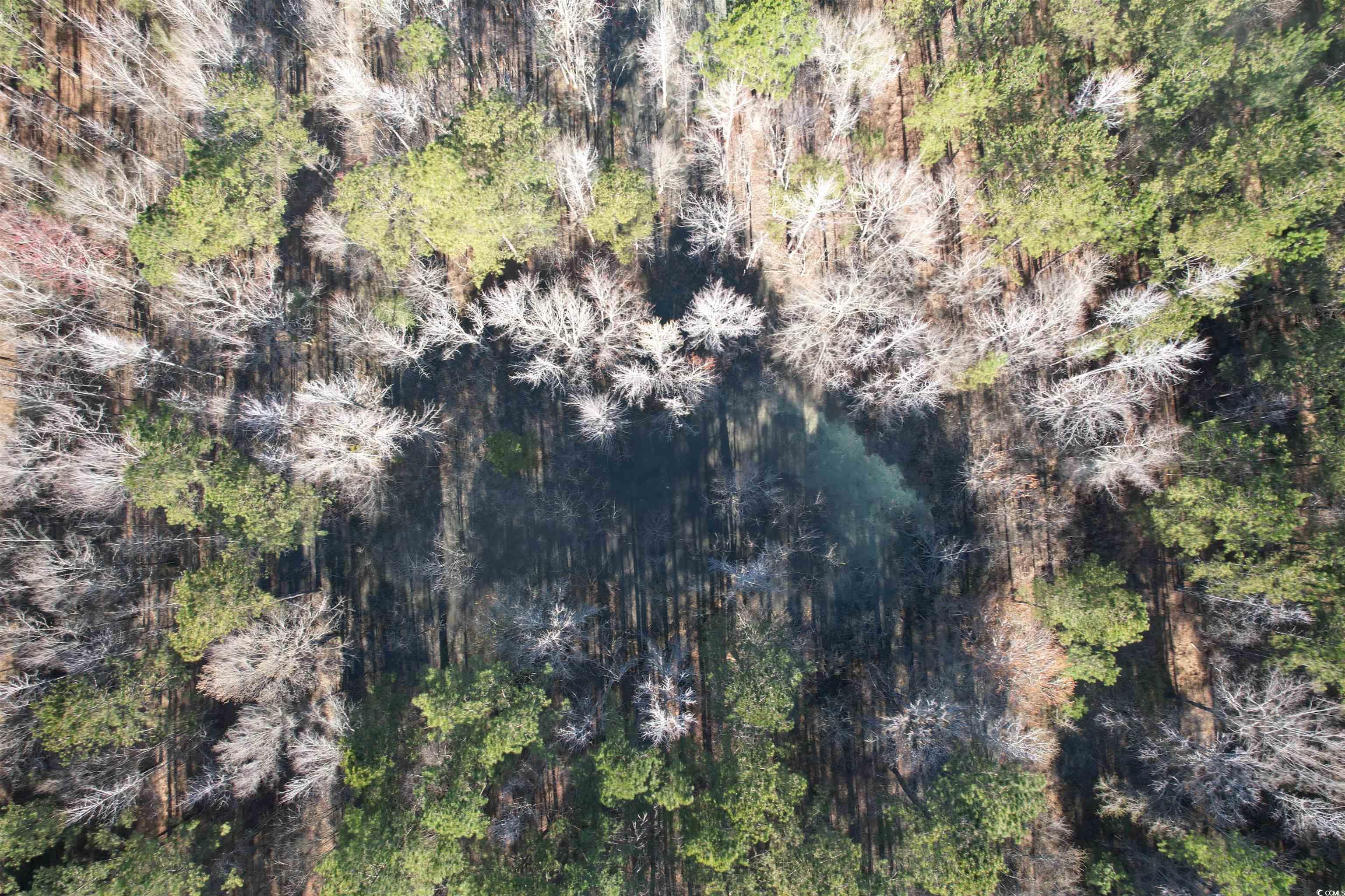 TBD Rocky Ford Rd., Salters, South Carolina image 25
