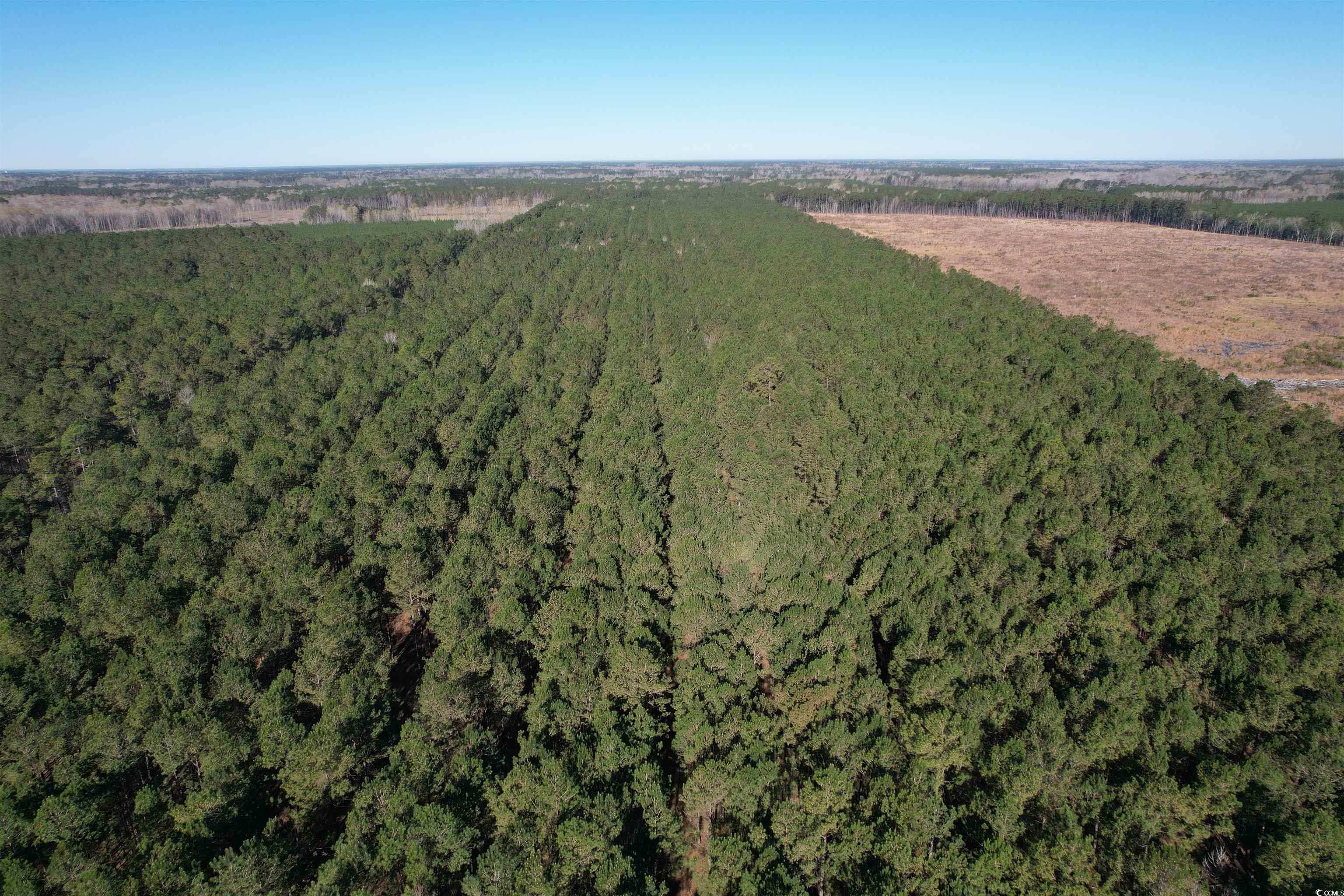 TBD Rocky Ford Rd., Salters, South Carolina image 27