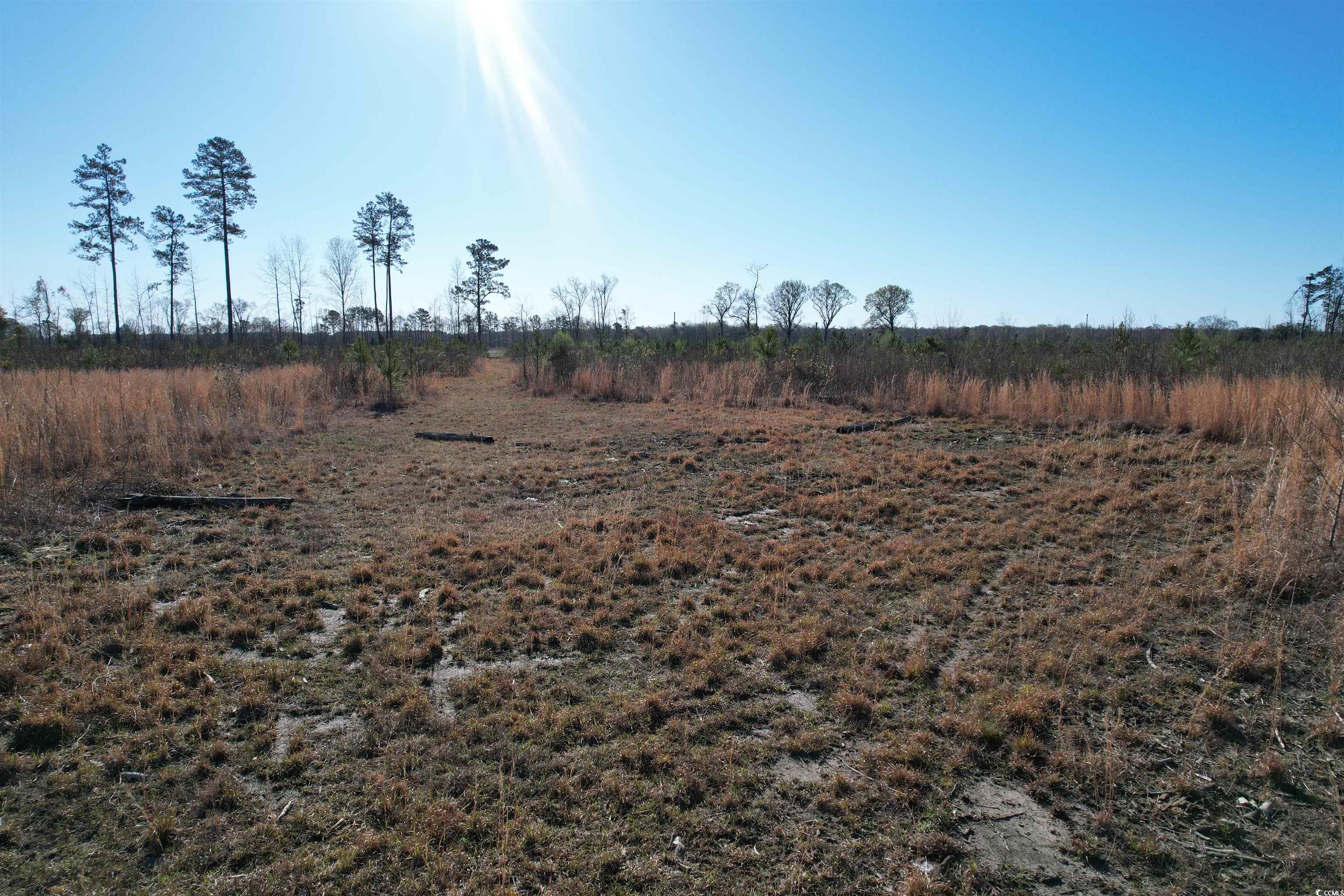 TBD Rocky Ford Rd., Salters, South Carolina image 30