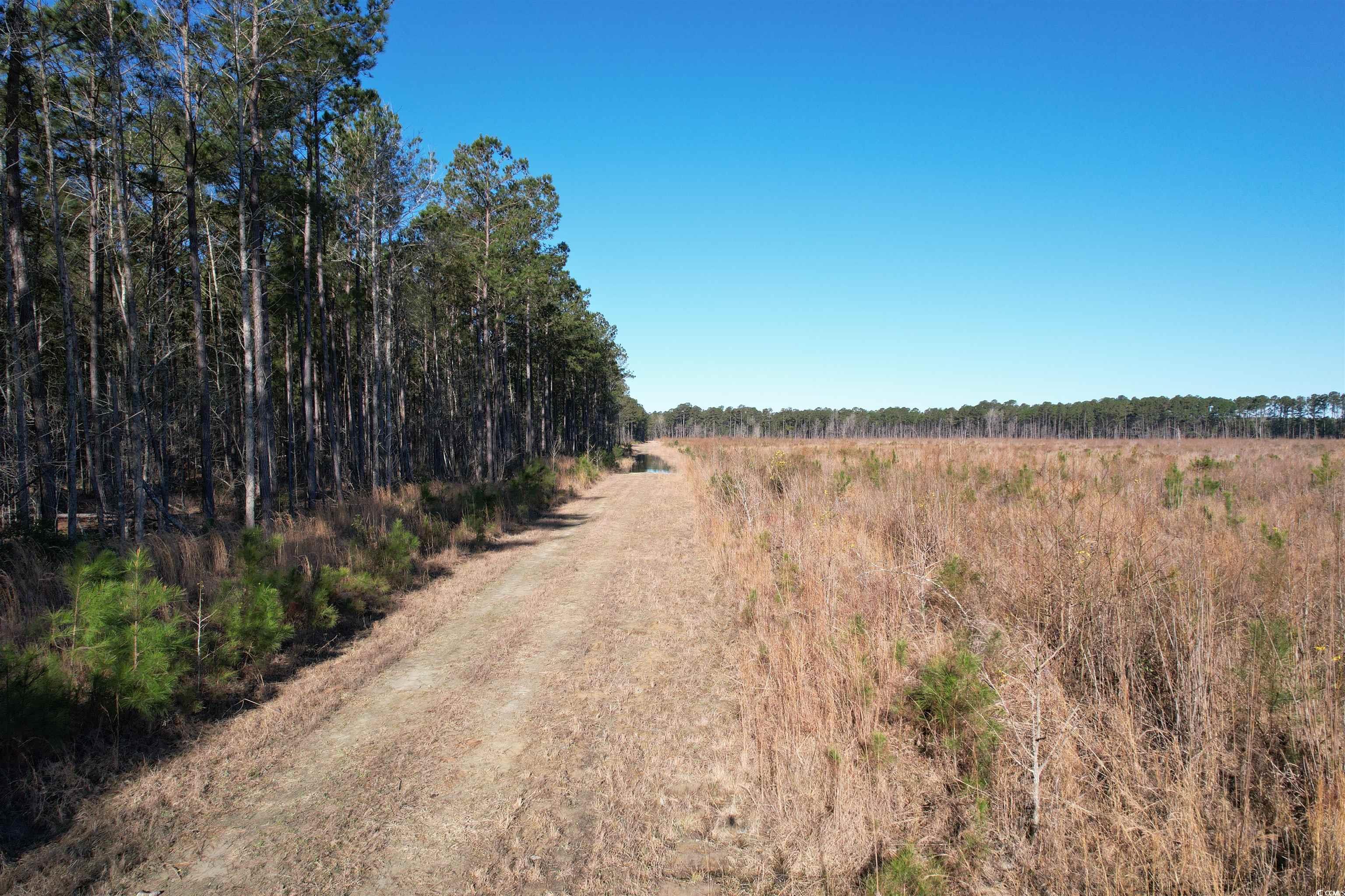 TBD Rocky Ford Rd., Salters, South Carolina image 37