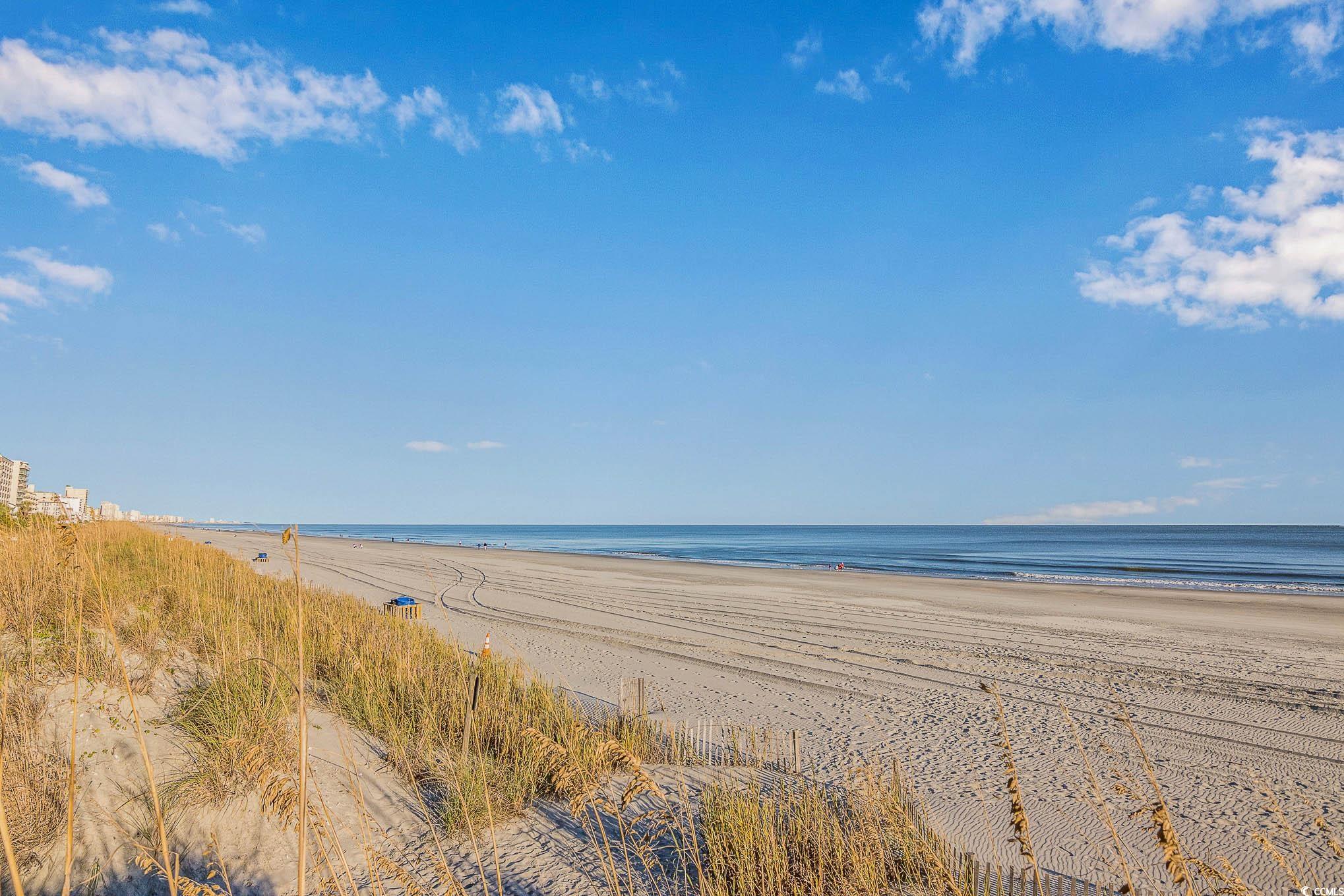4800 S Ocean Blvd. #619, North Myrtle Beach, South Carolina image 34