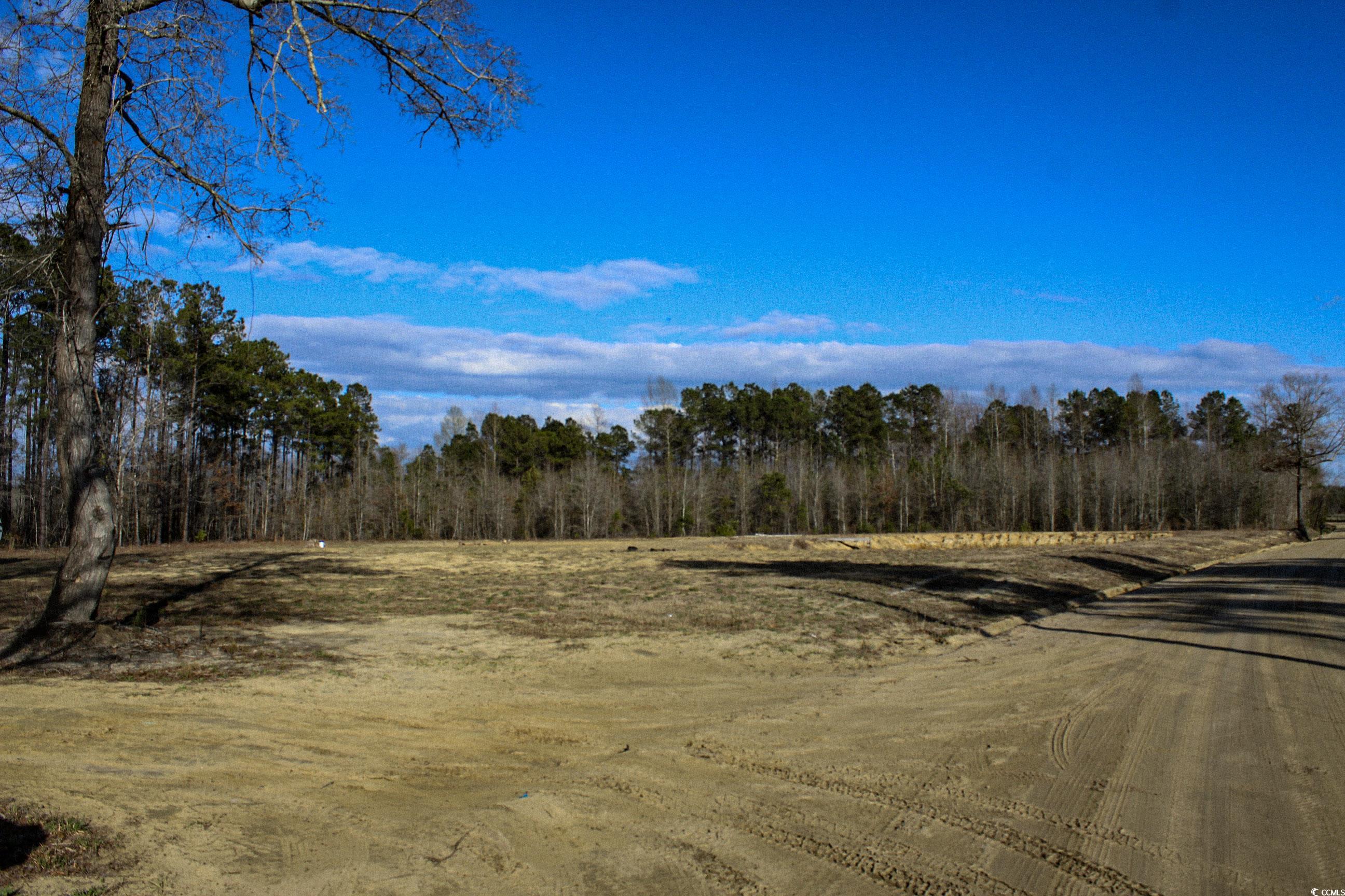 6221 Ellwood Rd. Galivants Ferry, SC 29544