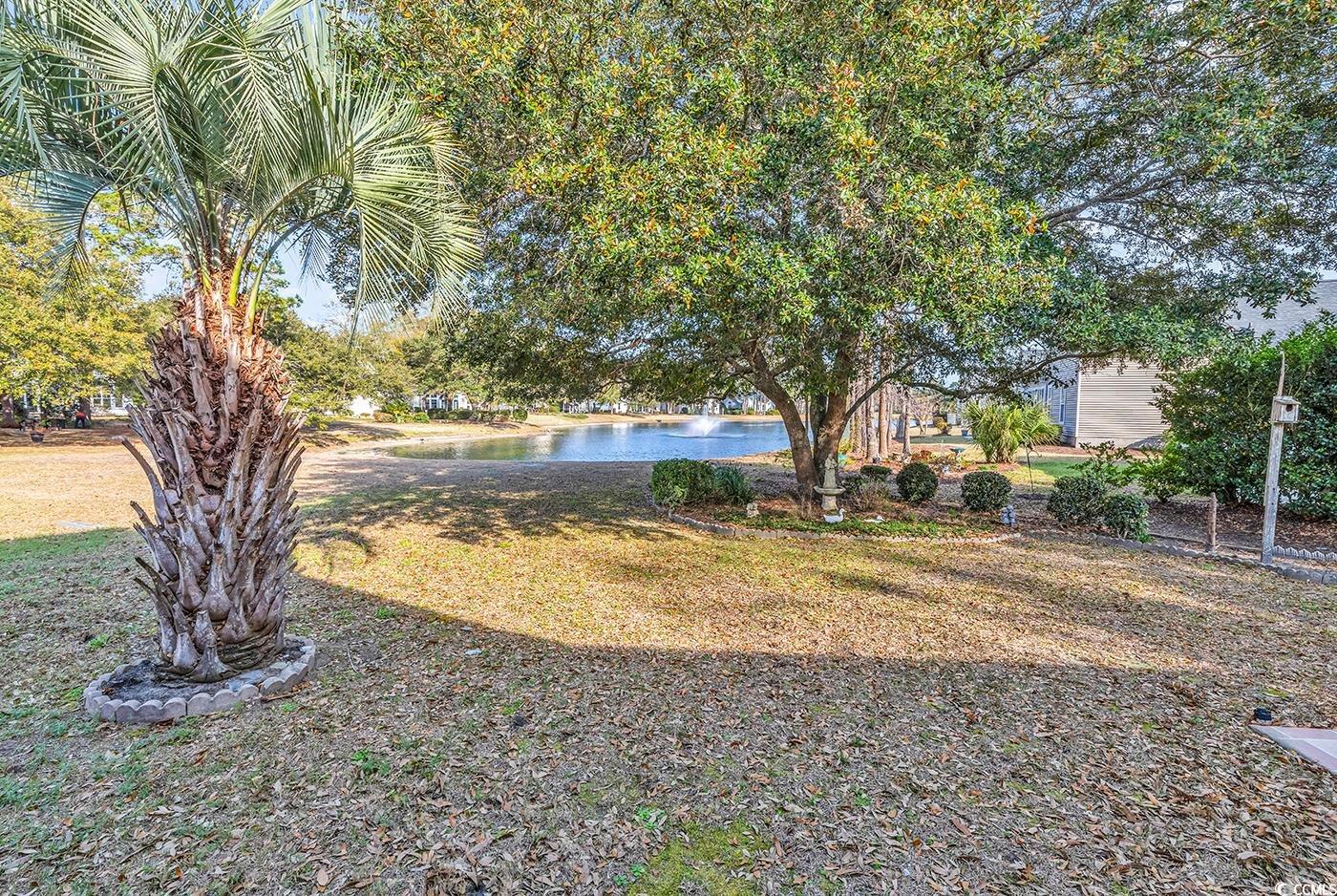 329 Camden Circle, Pawleys Island, South Carolina image 27