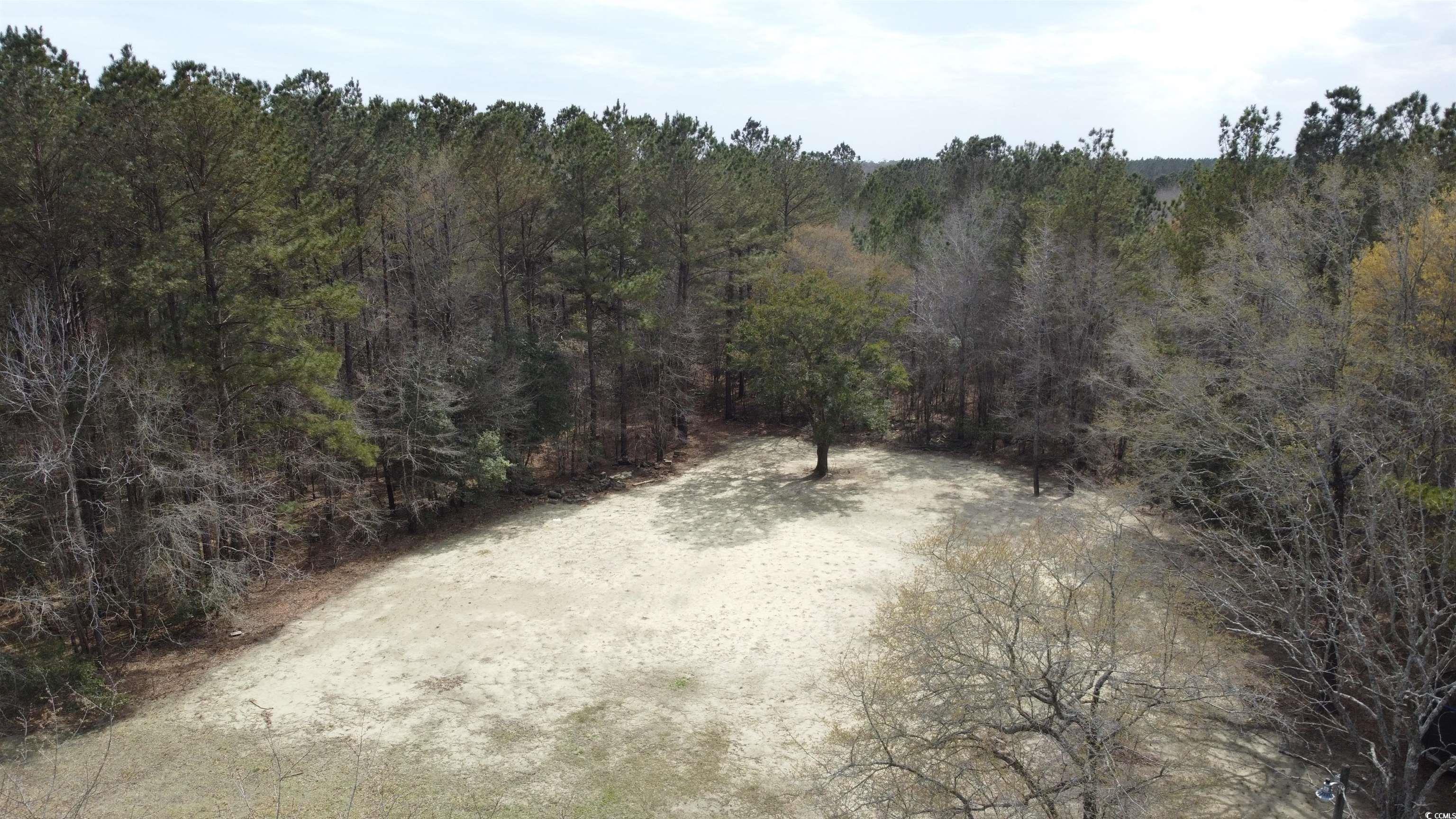 2072 Lees Landing Circle, Conway, South Carolina image 12