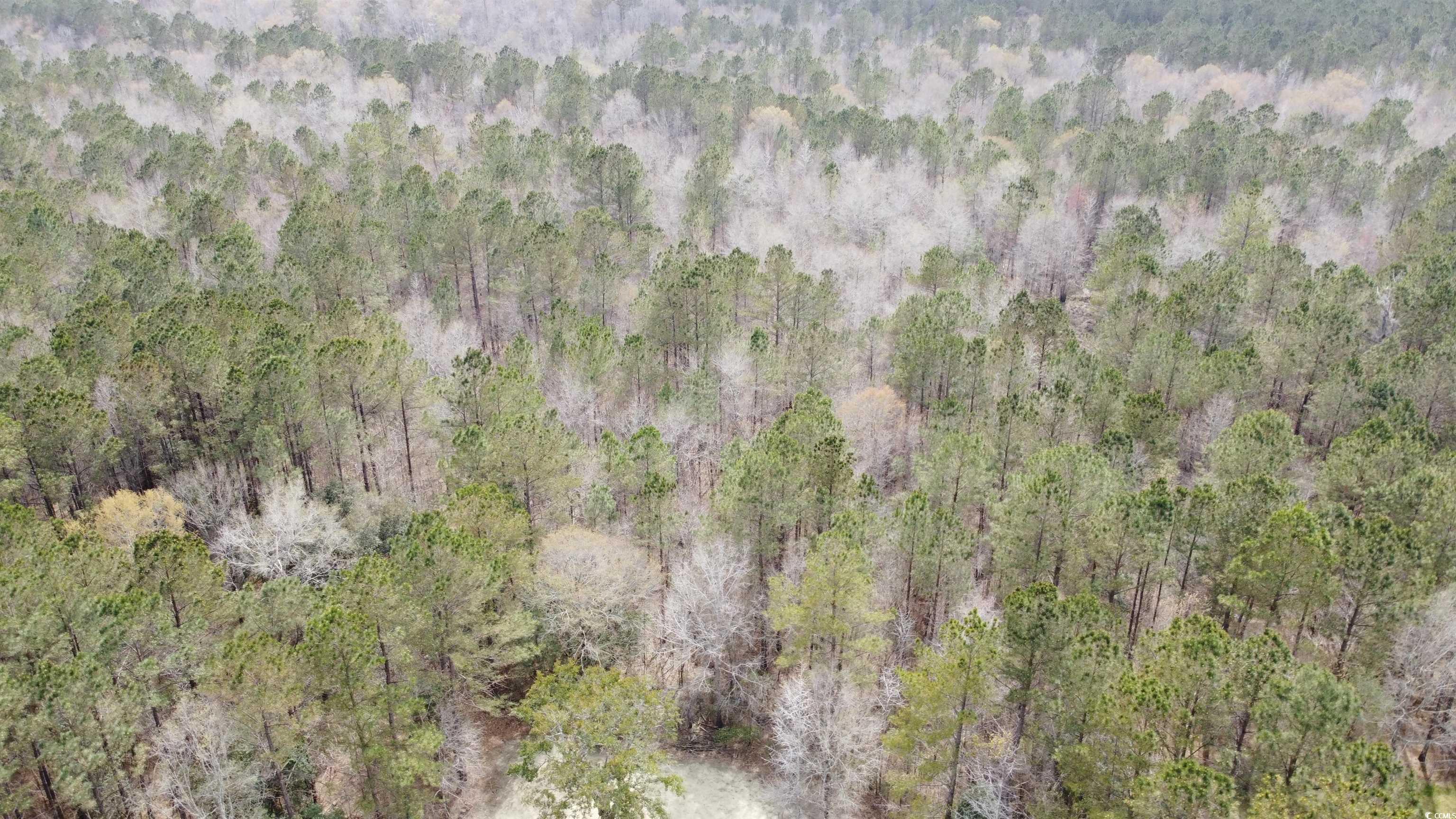 2072 Lees Landing Circle, Conway, South Carolina image 14