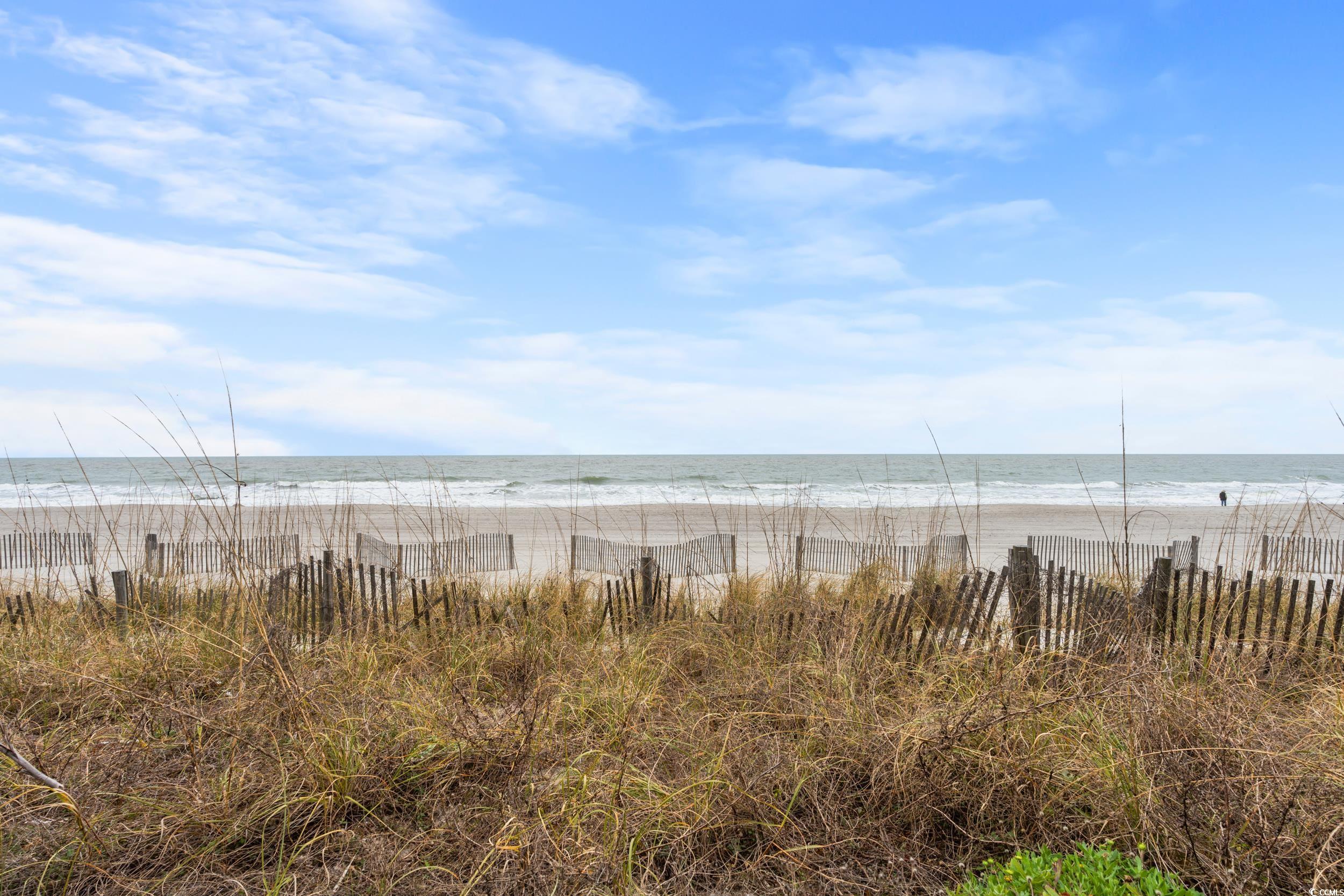 504 N Ocean Blvd. #401, Myrtle Beach, South Carolina image 27