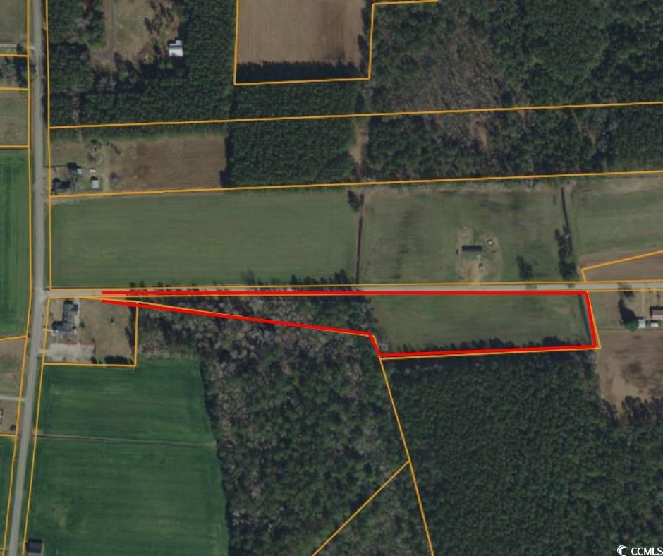 TBD Grassy Bay Dr., Green Sea, South Carolina image 1