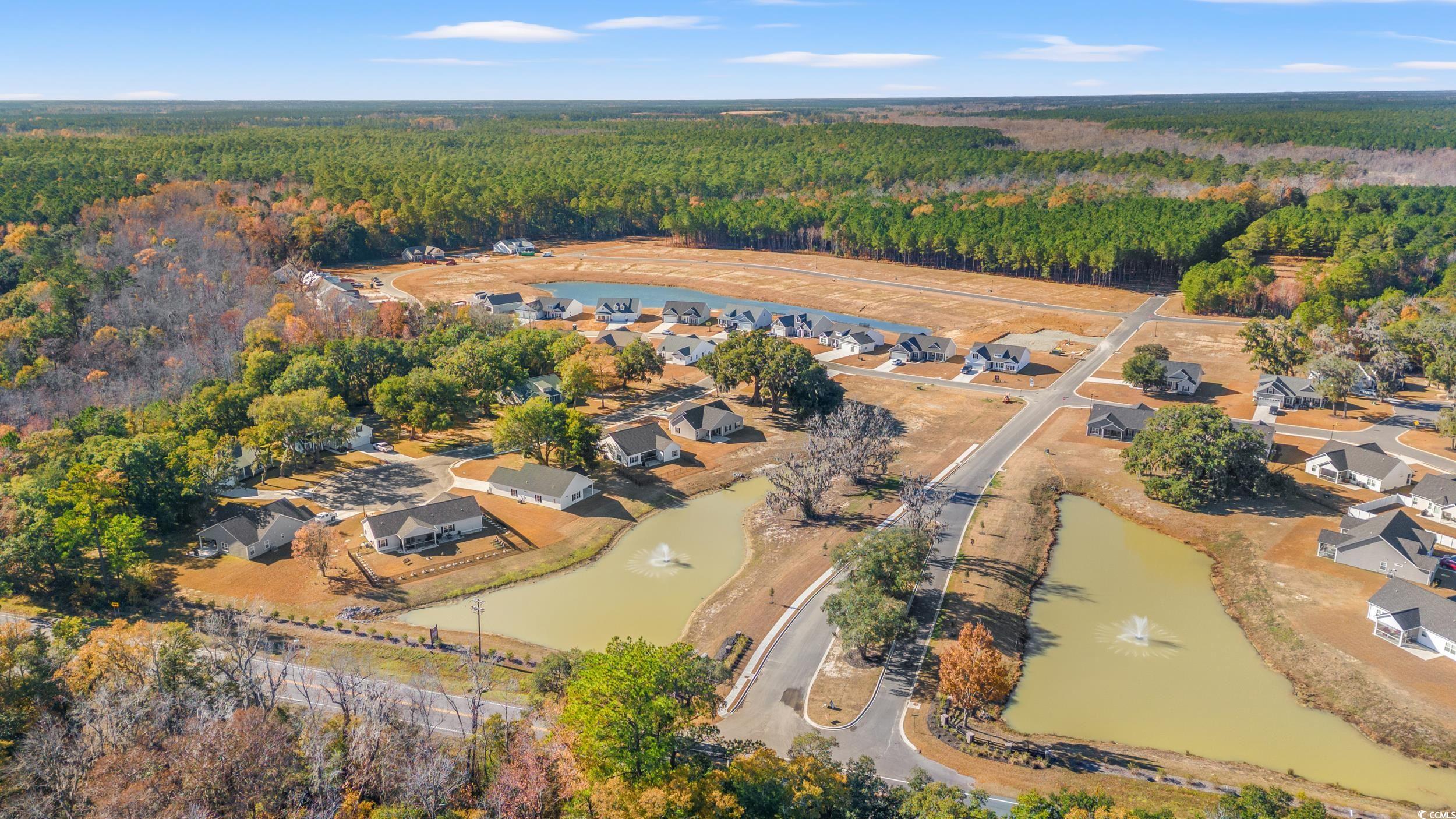 42 Millsite Ct., Georgetown, South Carolina image 20