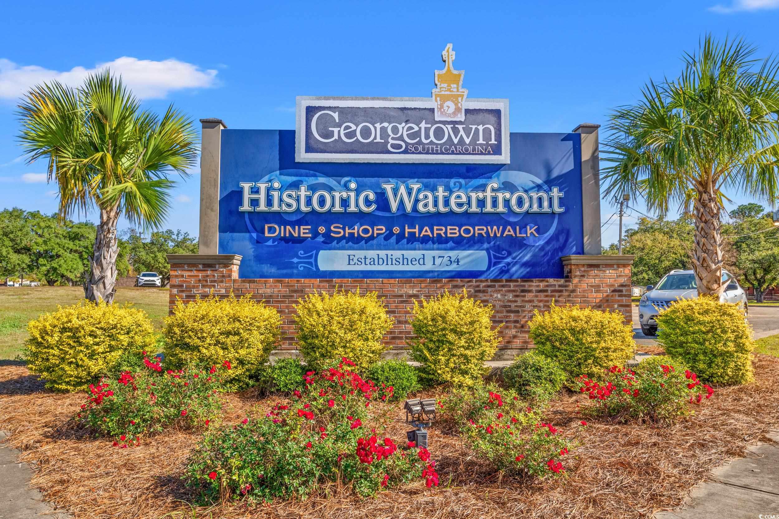 42 Millsite Ct., Georgetown, South Carolina image 23