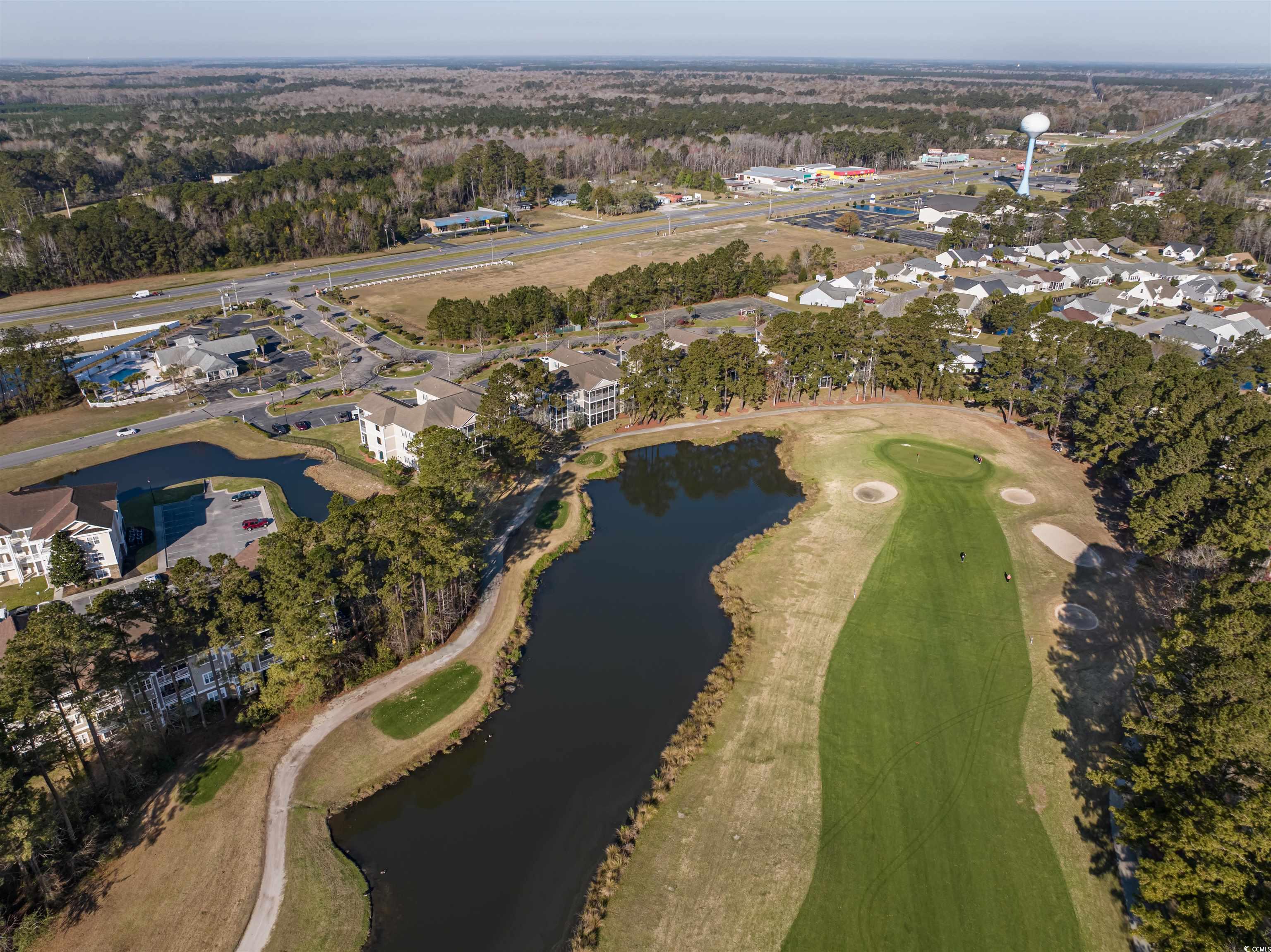 244 Sun Colony Blvd. #102, Longs, South Carolina image 29