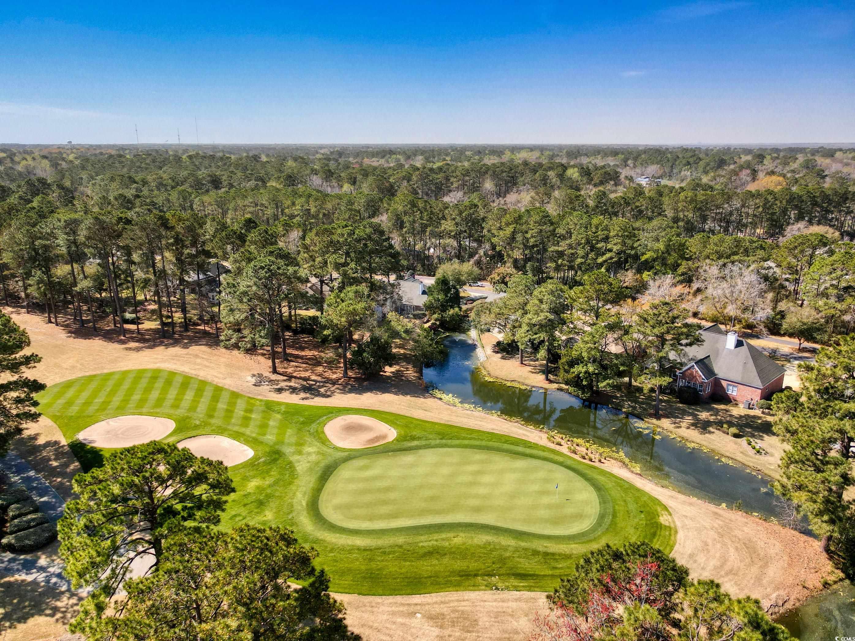 749 Club Circle, Pawleys Island, South Carolina image 5
