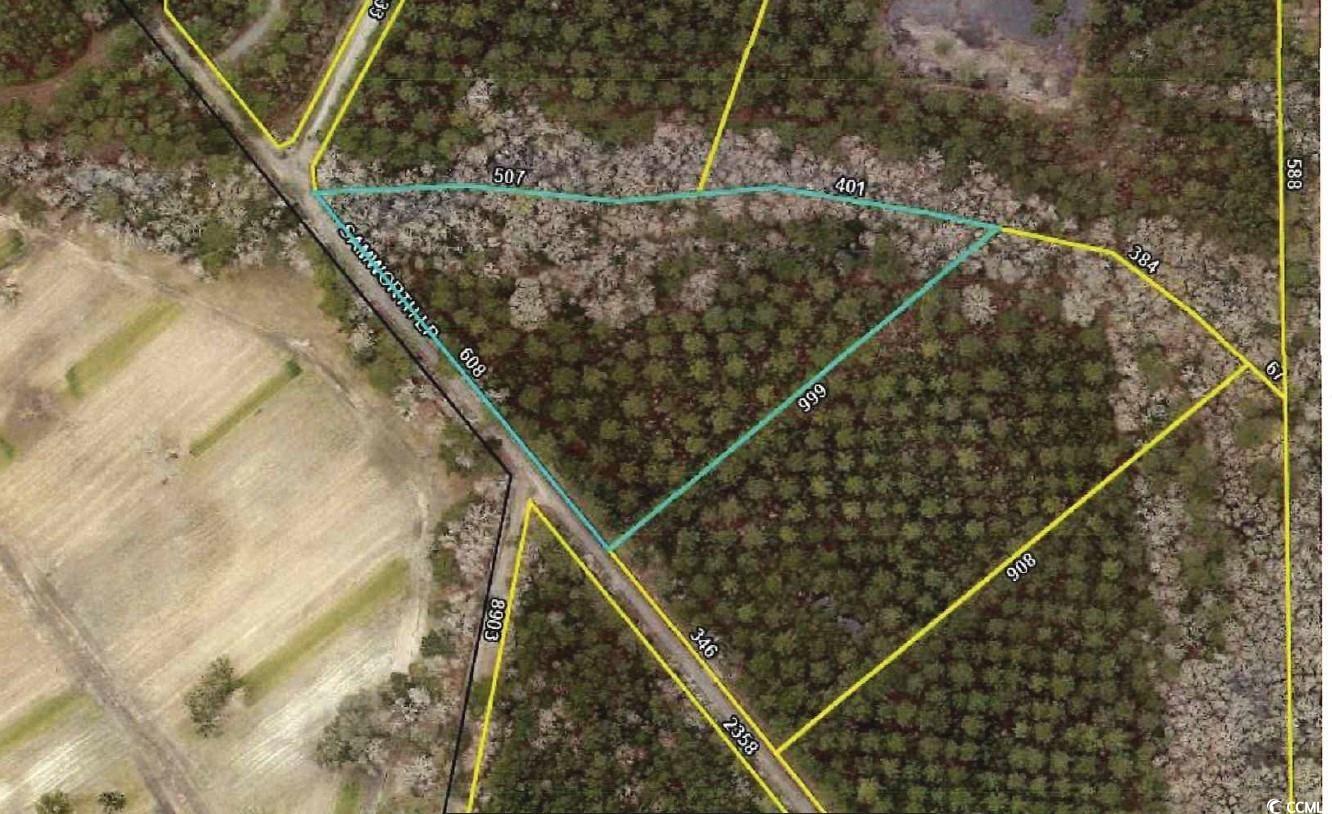 Lot 9 Samworth Loop Georgetown, SC 29440