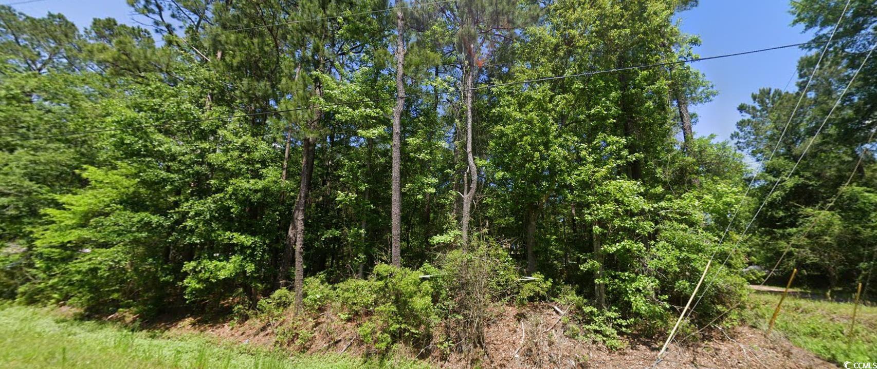 12 Donaldson Dr, Beaufort, South Carolina image 5