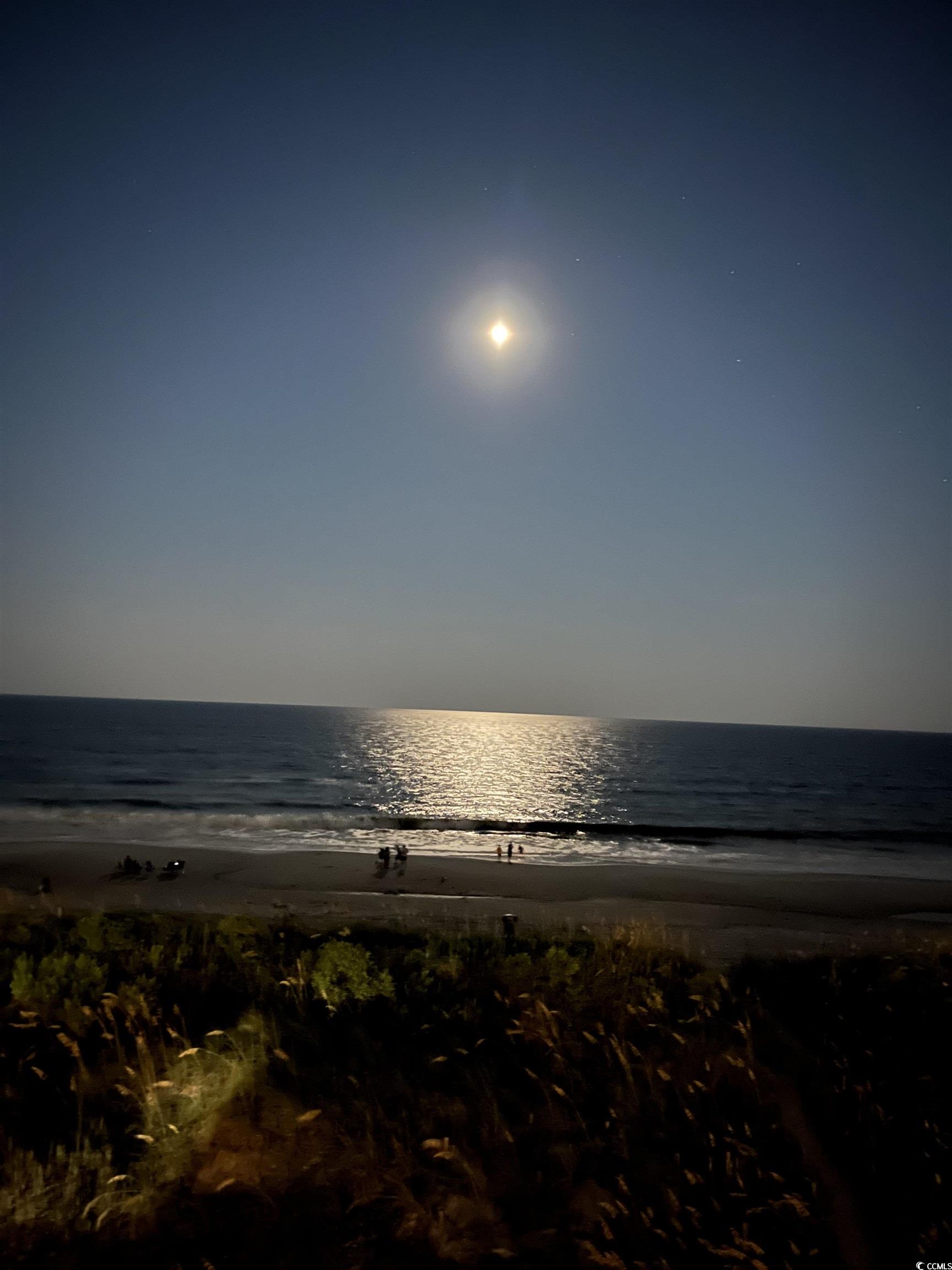 4305 S Ocean Blvd. #301, North Myrtle Beach, South Carolina image 39