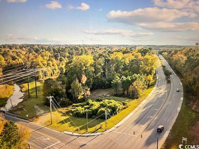 Mill Pond Rd., Conway, South Carolina image 2