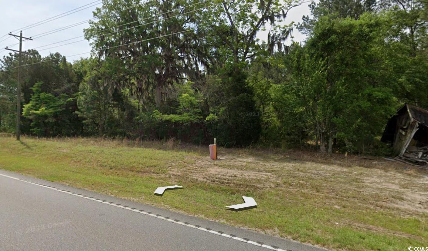 TBD Highway 905, Conway, South Carolina image 3