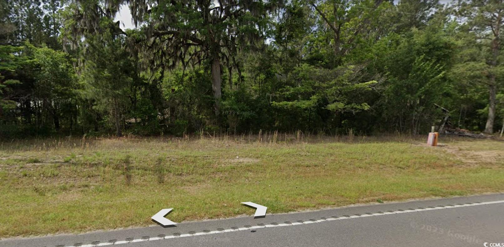 TBD Highway 905, Conway, South Carolina image 5
