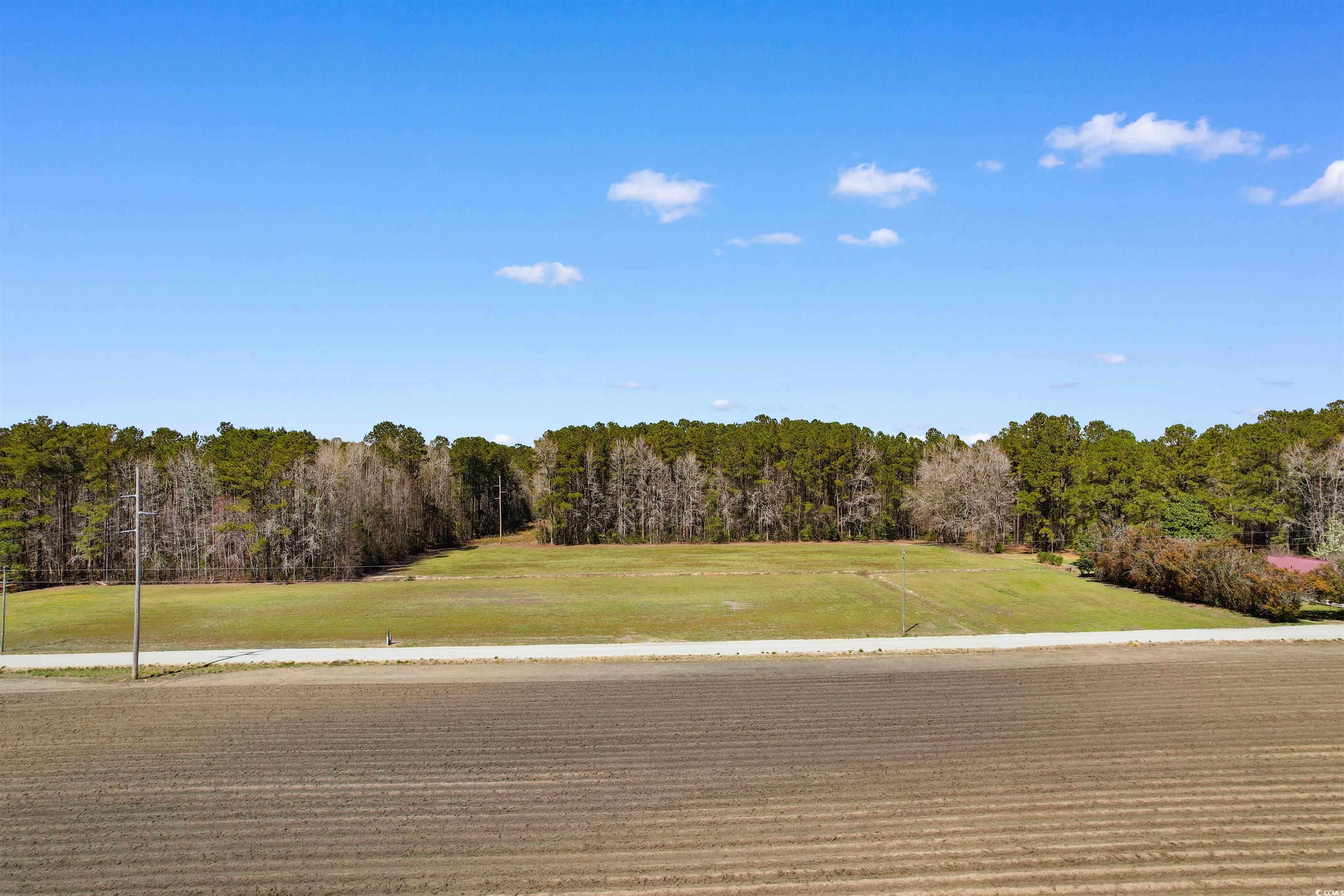 TBD Sam Graham Rd. Street, Loris, South Carolina image 5