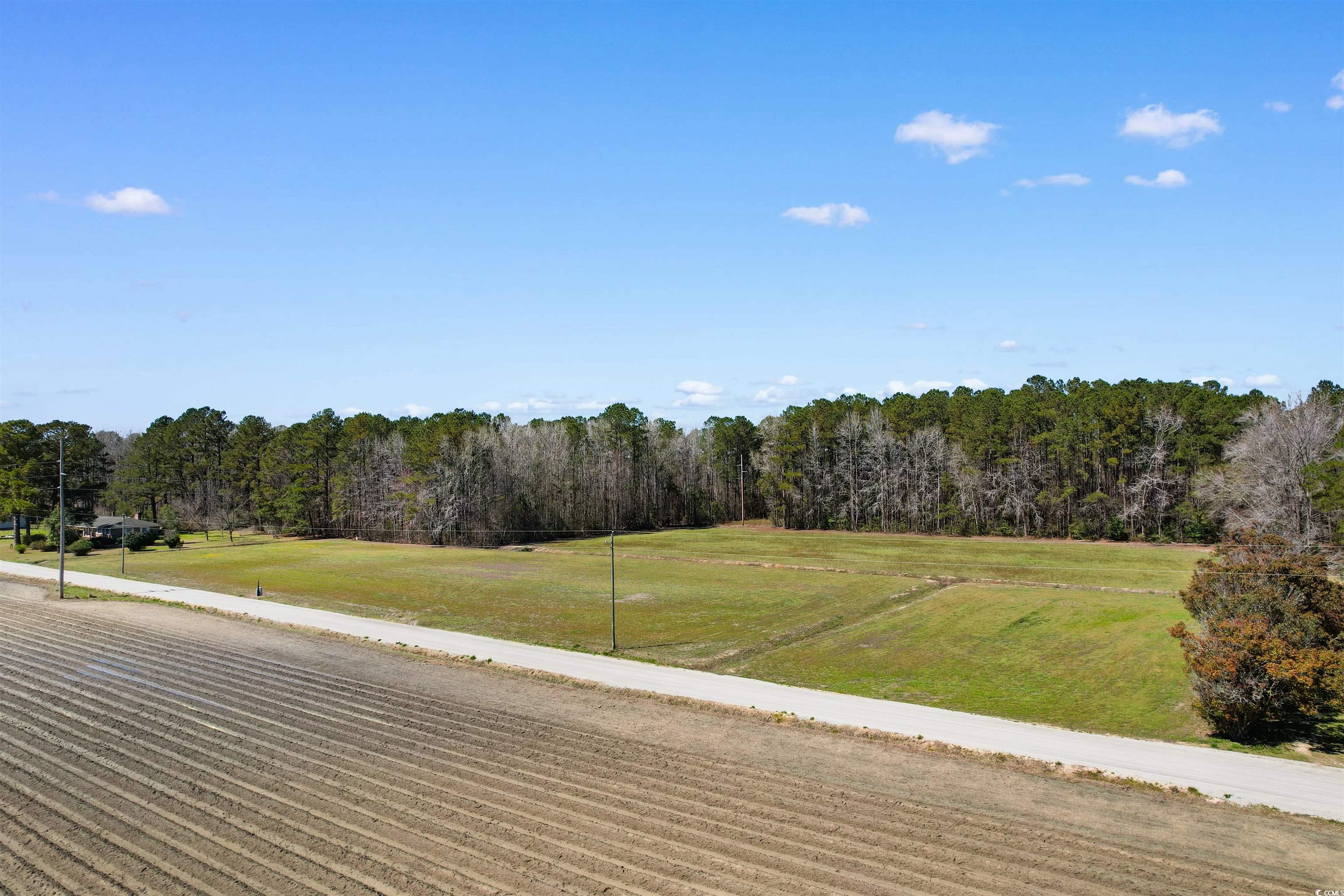 TBD Sam Graham Rd., Loris, South Carolina image 4