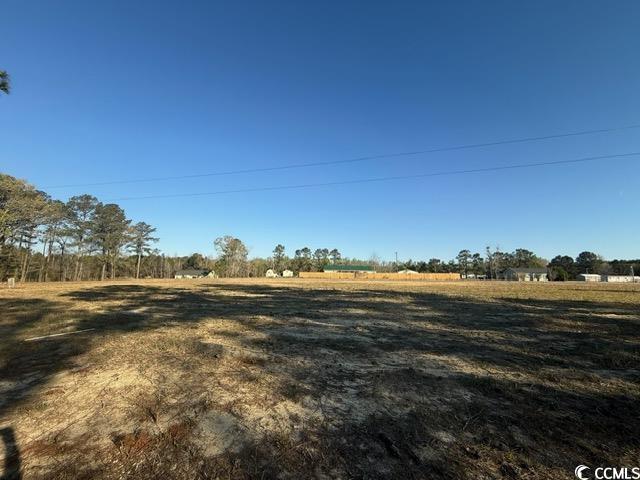 Lot A Lexyryan Ct., Latta, South Carolina image 2