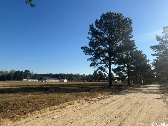 Lot A Lexyryan Ct., Latta, South Carolina image 9