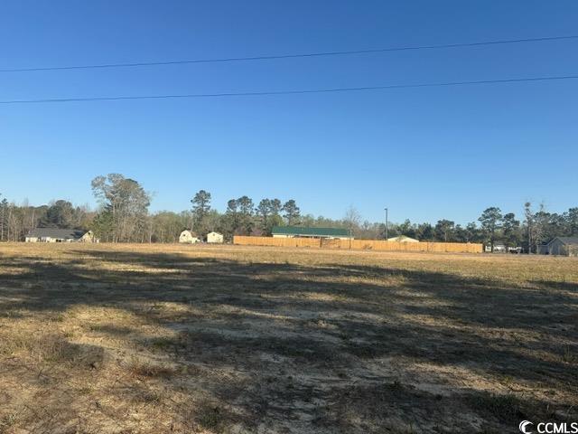 Lot E Lexyryan Ct., Latta, South Carolina image 1