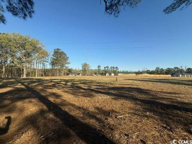 Lot E Lexyryan Ct., Latta, South Carolina image 3