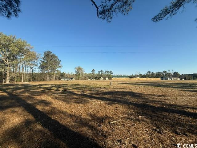 Lot E Lexyryan Ct., Latta, South Carolina image 4