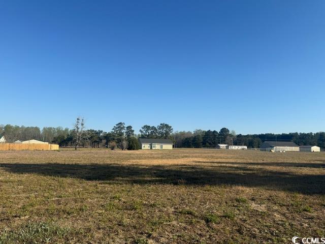 Lot E Lexyryan Ct., Latta, South Carolina image 8