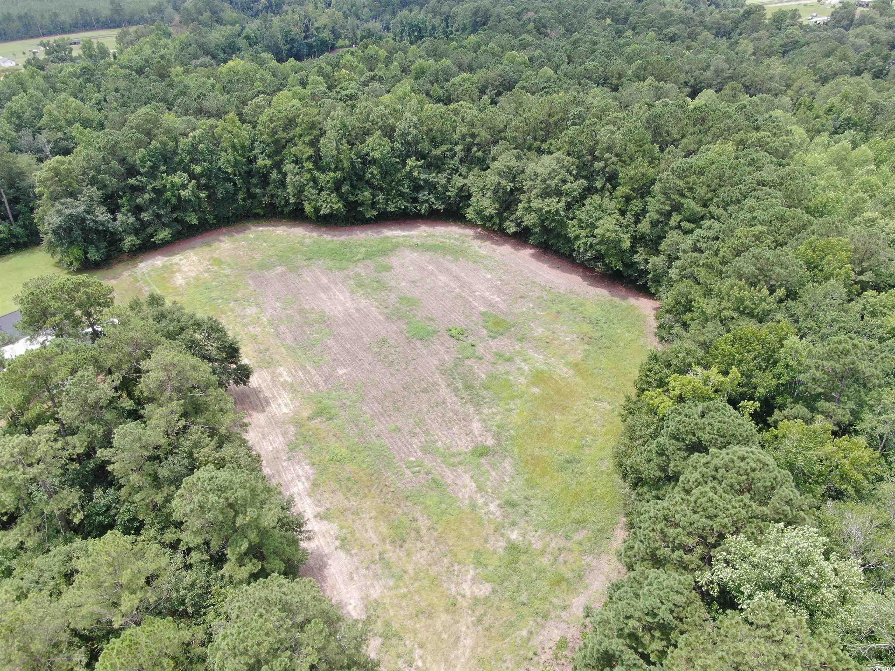 TBD Highway 308 Galivants Ferry, SC 29544
