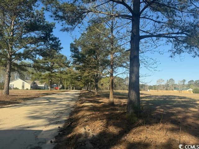 Lot J Lexyryan Ct., Latta, South Carolina image 12
