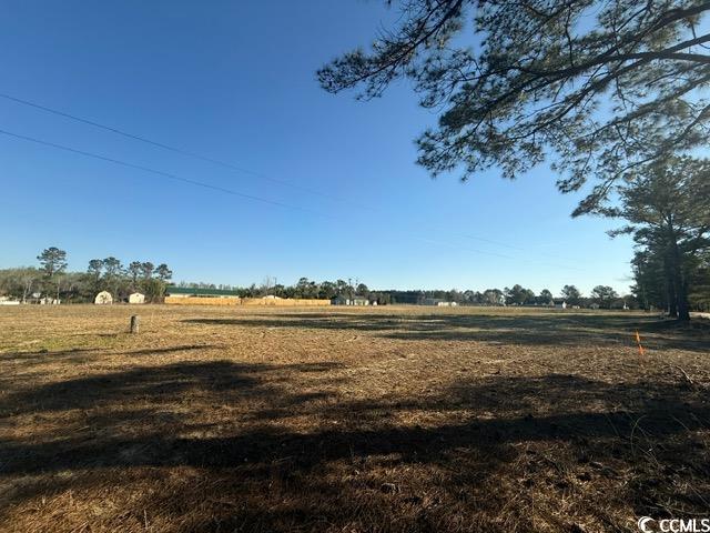 Lot J Lexyryan Ct., Latta, South Carolina image 6